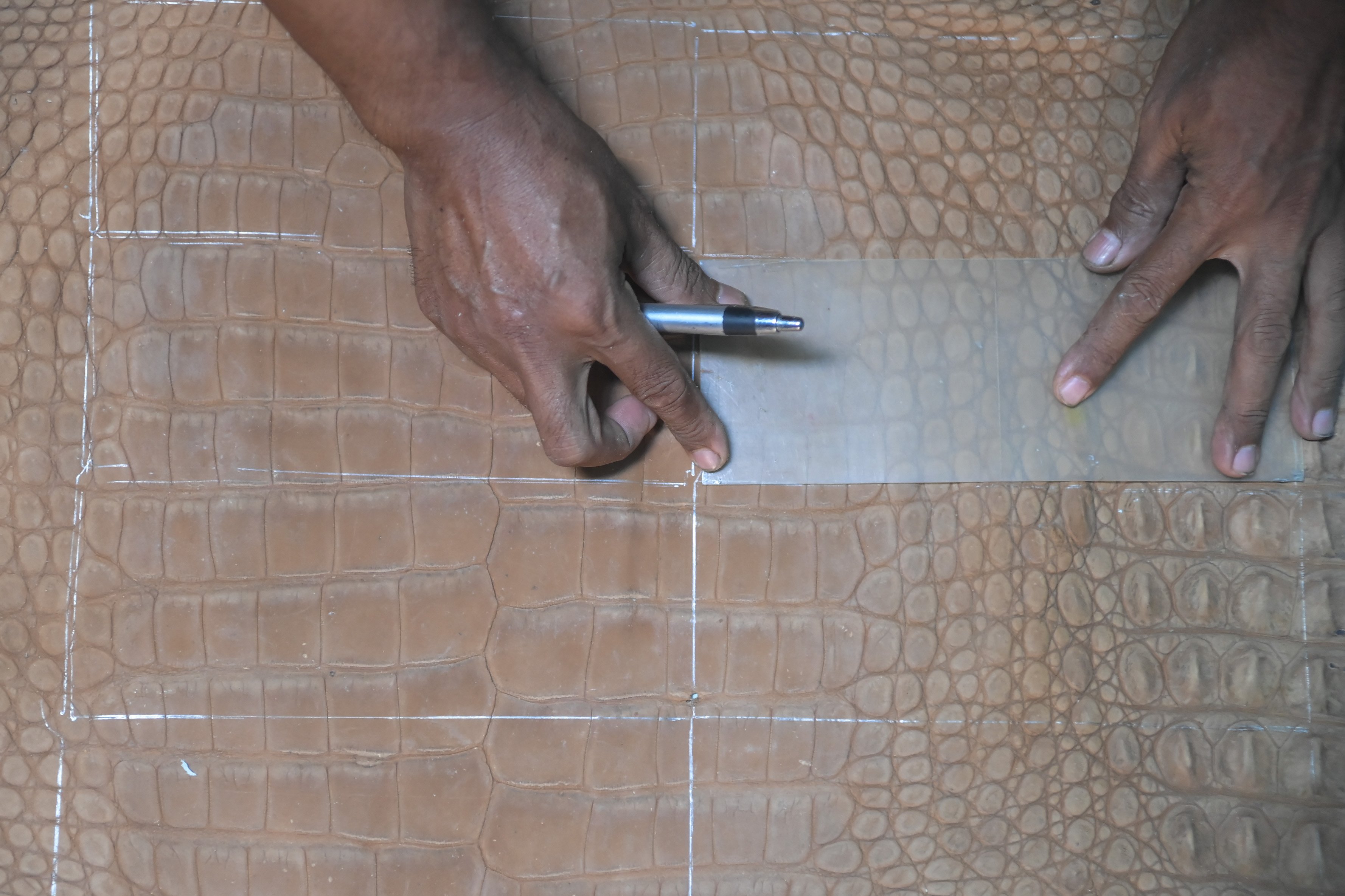 Pengrajin membuat pola pada kulit buaya saat proses pembuatan kerajinan tangan berbahan dasar kulit buaya di Merauke, Papua.
