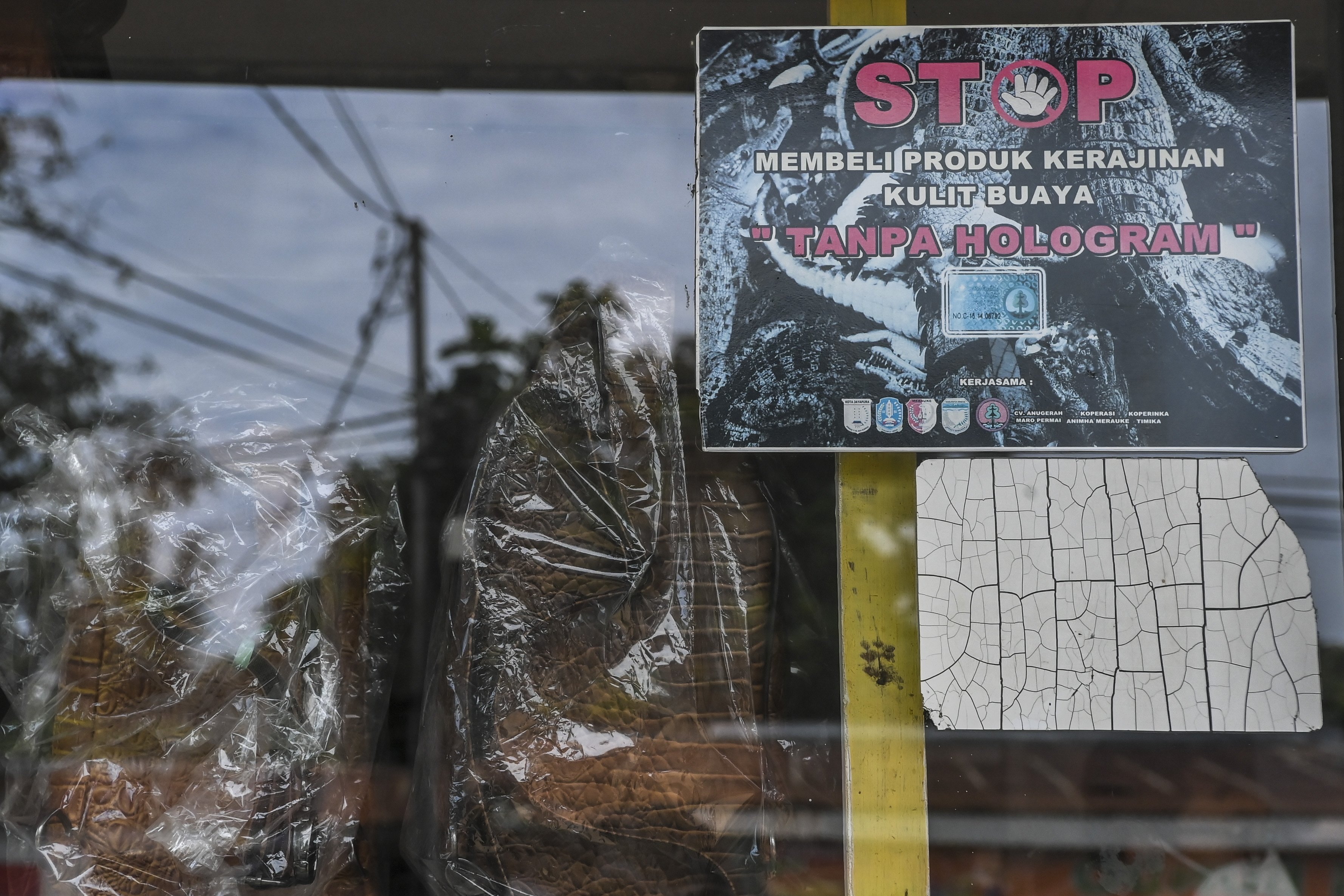 Sebuah stiker berisi peringatan untuk tidak membeli produk tak berhologram terpasang di kaca toko yang menjual kerajinan tangan kulit buaya di Merauke, Papua.