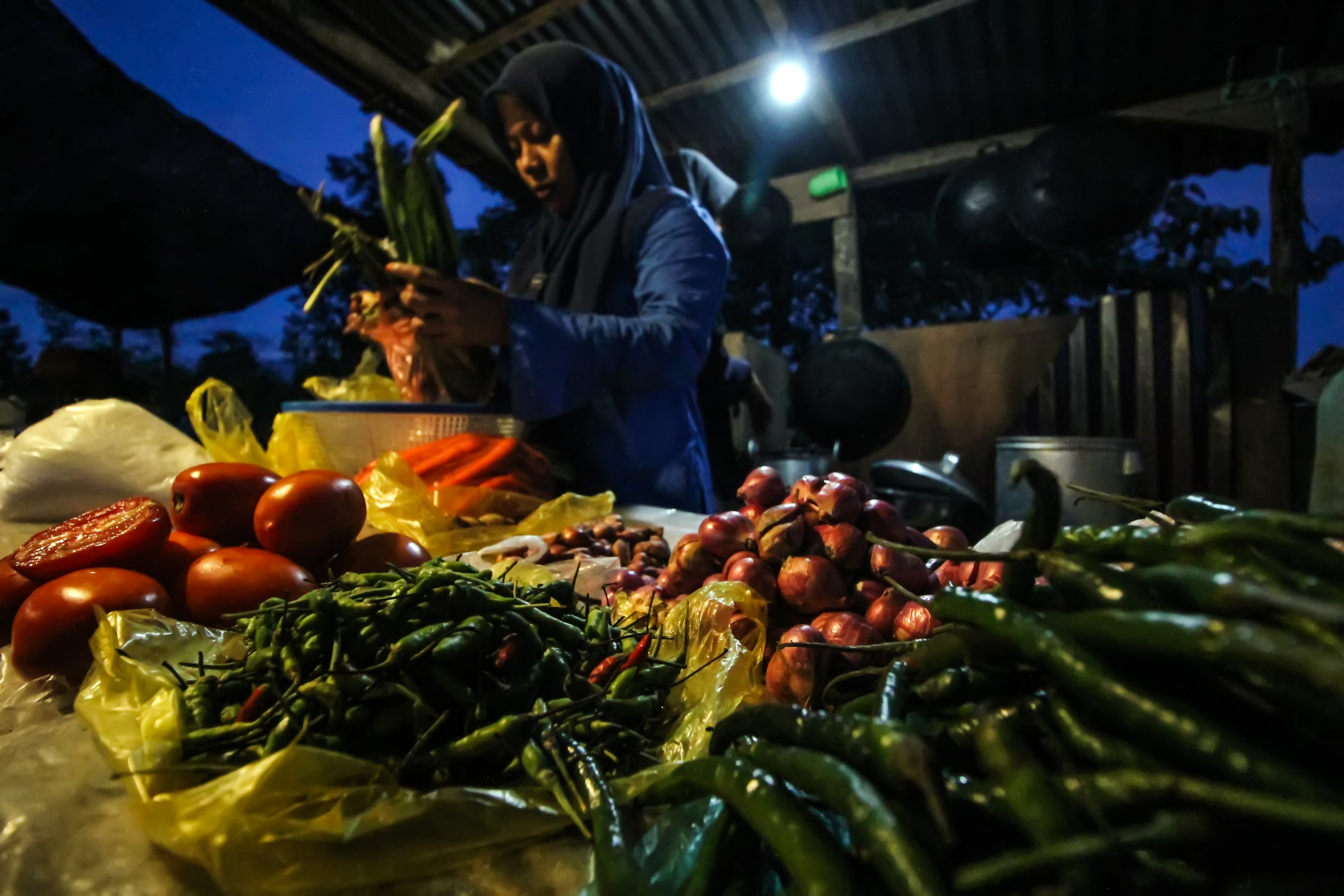 Pedagang sayur menjajakan dagangannya di bawah sinar lampu yang tersalur dengan jaringan listrik melalui program listrik masuk wilayah desa tertinggal di Dusun Jabal Antara, Aceh Utara.