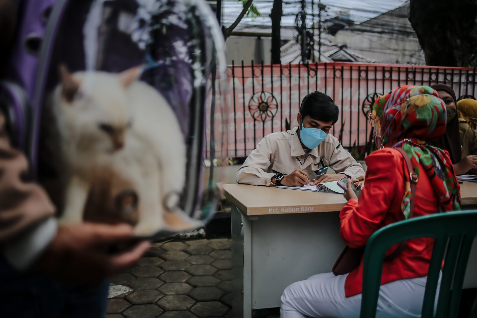 Petugas Suku Dinas Ketahanan Pangan, Kelautan, dan Pertanian (KPKP) Jakarta Selatan melayani resgitrasi vaksin rabies pada kucing peliharaan milik warga di Kantor Kelurahan Kebon Baru, Jakarta, Selasa (16/11/2021). Suku Dinas Ketahanan Pangan, Kelautan, dan Pertanian (KPKP) terus menggenjot sebaran vaksinasi rabies secara gratis guna mewujudkan Ibu Kota bebas rabies pada 2022.