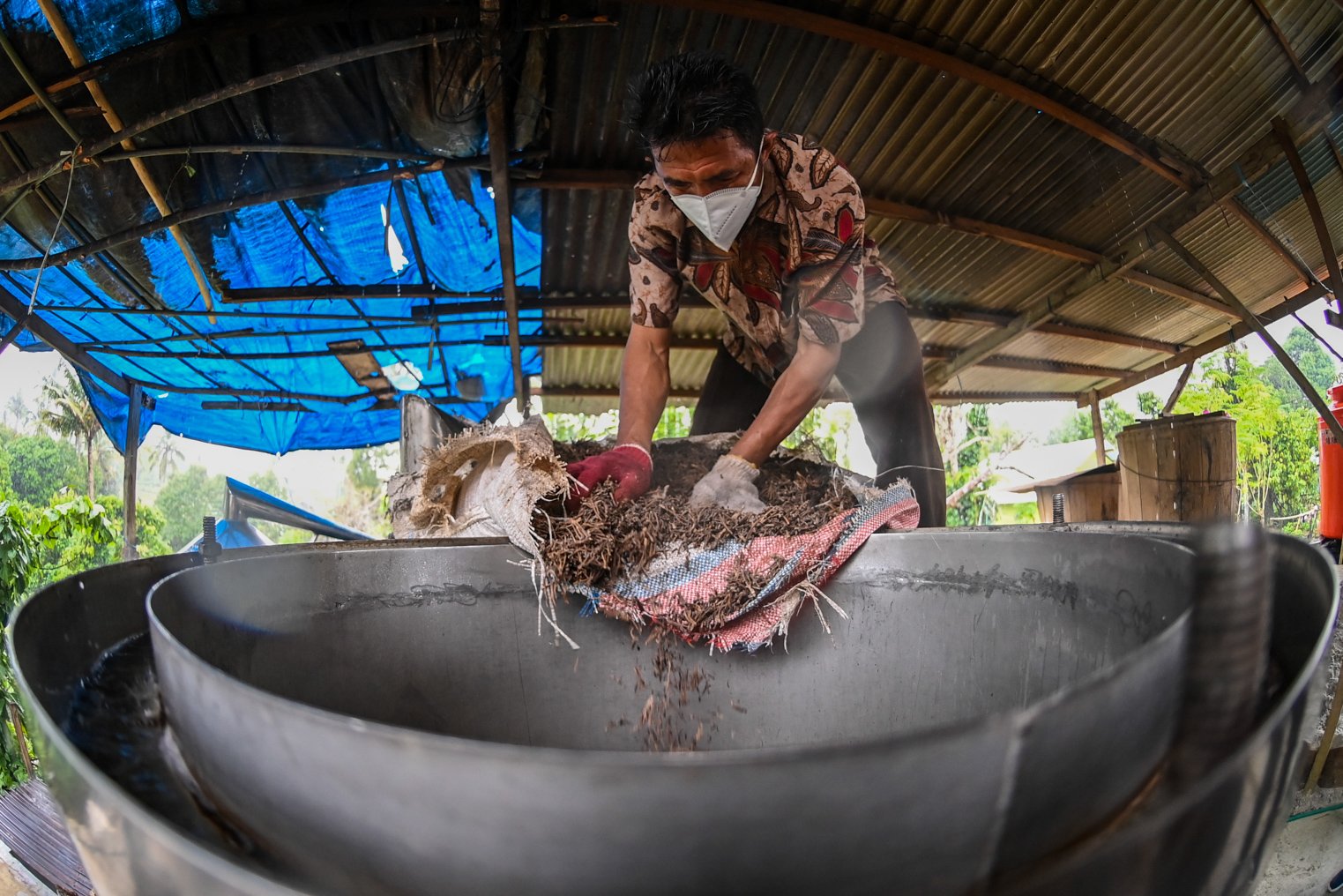 La Yapi (52) memasukkan cengkeh kering ke dalam ketel di Dusun Kranjang, Desa Wayame, Kecamatan Teluk Ambon, Kota Ambon, Provinsi Maluku.
