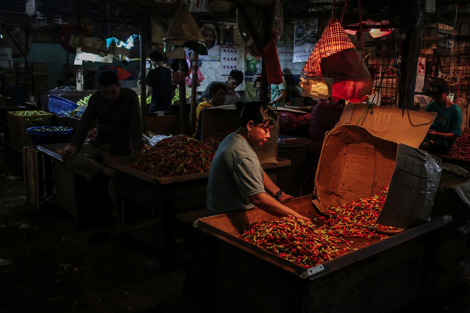 Pedagang memilah cabai rawit merah di lapak miliknya di Pasar Induk Kramat Jati, Jakarta, Selasa (28/12/2021). Sehari setelah Natal harga beberapa bahan makanan pokok termasuk cabai rawit merah alami lonjakan hingga kisaran Rp 103.171 per kilogramnya.