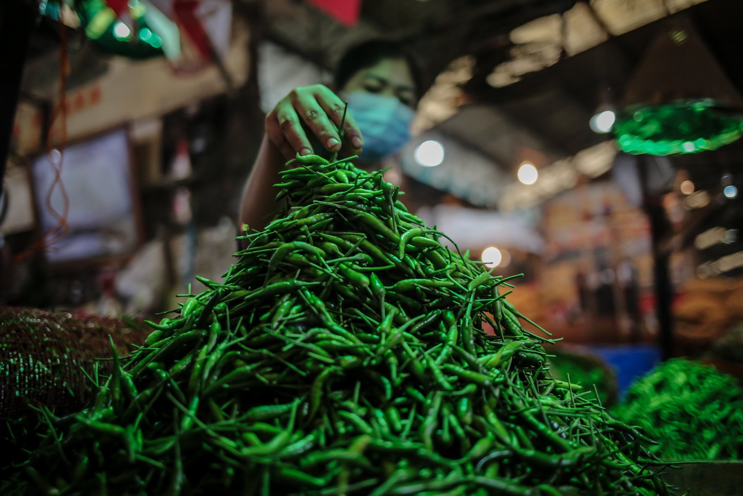 Pedagang memilah cabai rawit di lapak miliknya di Pasar Induk Kramat Jati, Jakarta, Selasa (28/12/2021). Sehari setelah Natal harga beberapa bahan makanan pokok termasuk cabai rawit merah alami lonjakan hingga kisaran Rp 103.171 per kilogramnya.
