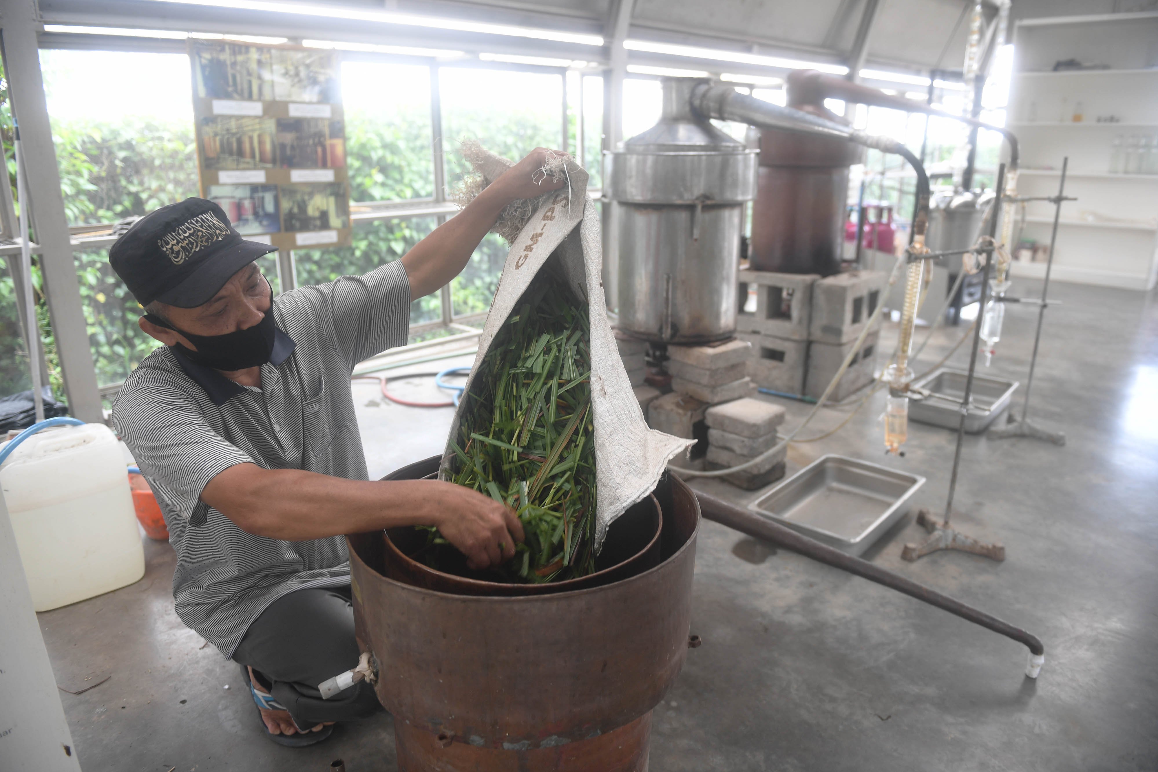 Pekerja memproduksi minyak atsiri di taman aromatik Rumah Atsiri Indonesia, Tawangmangu, Karanganyar, Jawa Tengah. Rumah Atsiri Indonesia dibangun guna memperkenalkan warisan industri minyak atsiri Indonesia melalui rekreasi yang mengedukasi dengan dilengkapi berbagai fasilitas yang menarik.