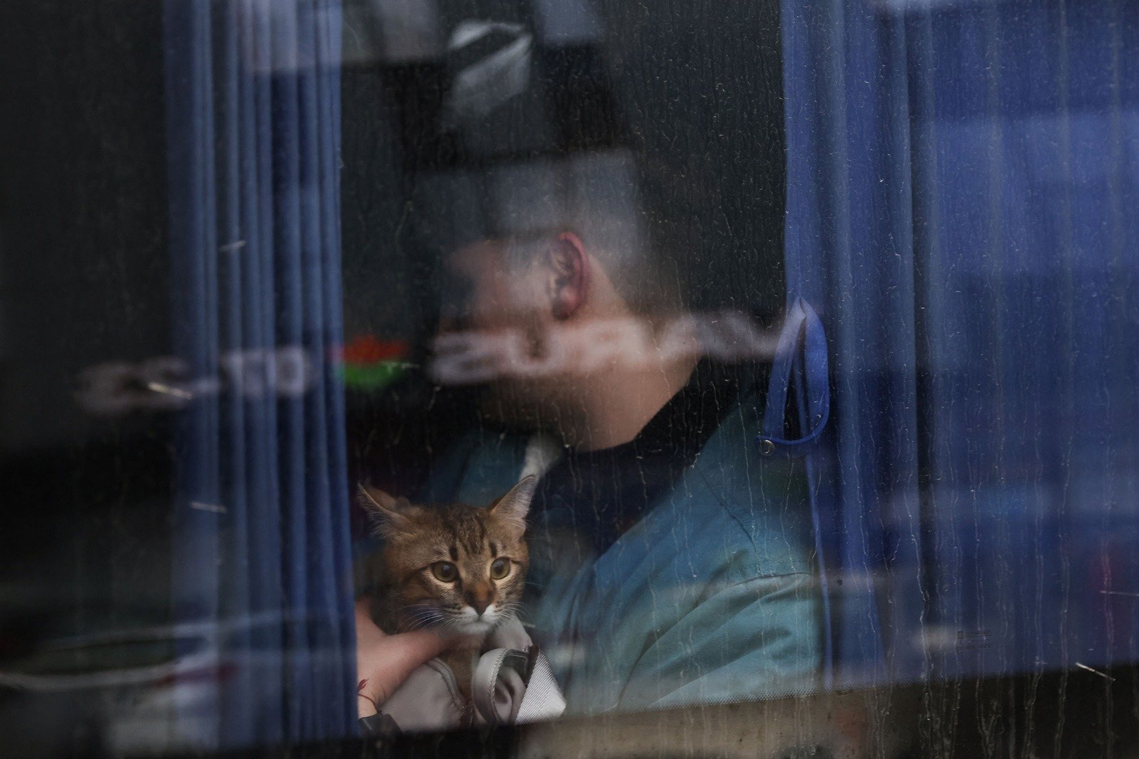 Seseorang menggendong kucing duduk dekat jendela bus, saat warga menuju bagian barat negara setelah Presiden Rusia Vladimir Putin mengesahkan operasi militer di bagian timur Ukraina, di Kyiv, Ukraina, Kamis (24/2/2022). ANTARA FOTO/REUTERS/Umit Bektas/FOC/djo