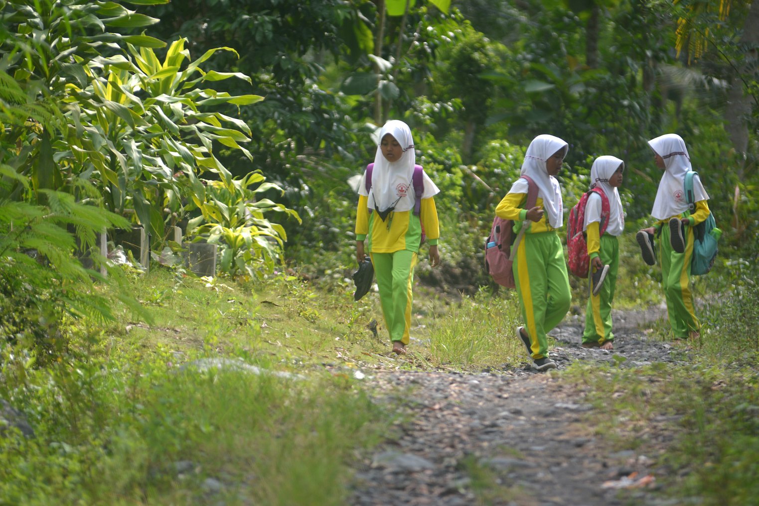 Sejumlah siswa SDN Jugosari 03 melintasi jalan setapak usai mengikuti kegiatan belajar di rumah salah satu warga di Dusun Sumberlangsep, Desa Jugosari, Candipuro, Lumajang, Jawa Timur.