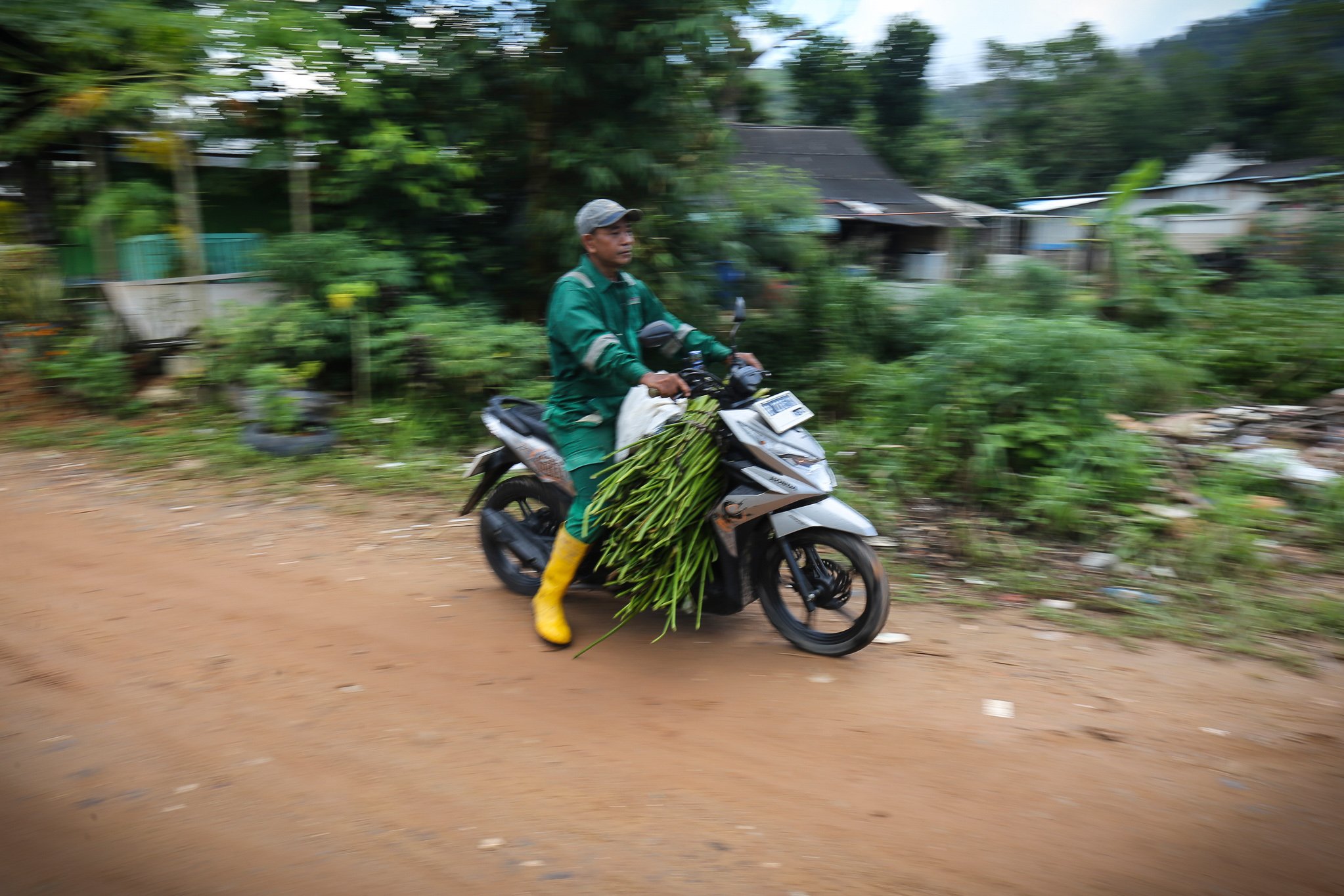 Pekerja membawa tanaman eceng gondok yang dijadikan bahan dasar kerajinan di Isna Puring, Batam, Kepulauan Riau.