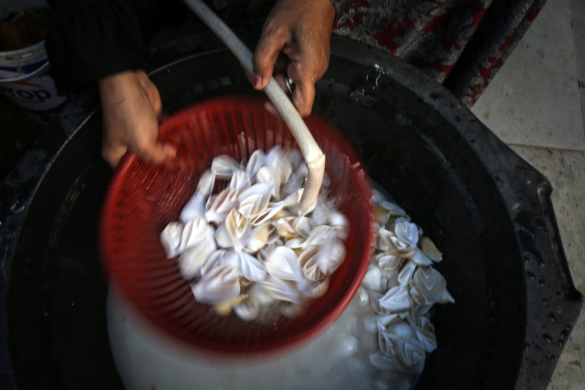 Perajin mencuci cangkang gongong di UMKM Rumah Keong, Batam, Kepulauan Riau.