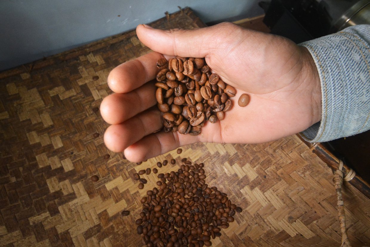 Petugas menunjukan biji kopi yang sudah diroasting (memanggang) di pengolahan Kopi Solok Radjo di Nagari Aia Dingin, Kecamatan Lembah Gumanti, Kabupaten Solok, Sumatera Barat.