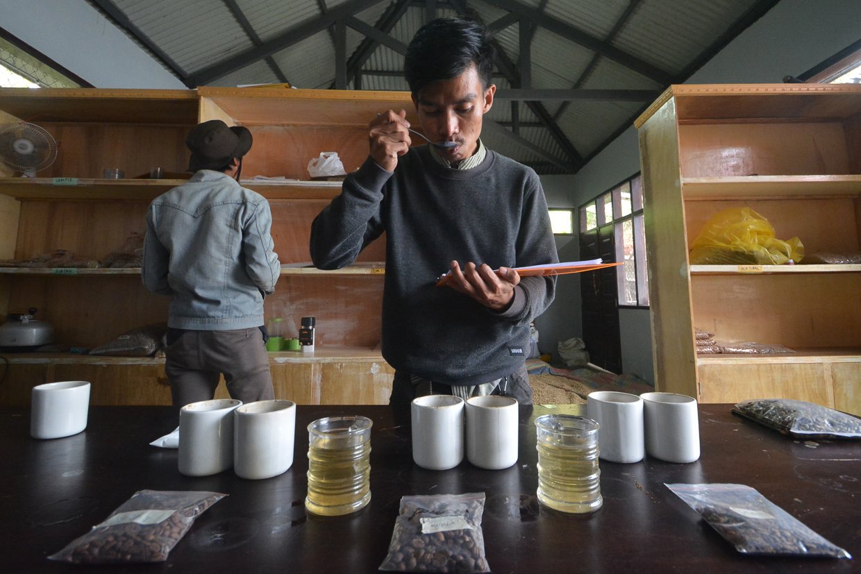 Seorang Q-Grader mencicipi cita rasa kopi di pengolahan Kopi Solok Radjo di Nagari Aia Dingin, Kecamatan Lembah Gumanti, Kabupaten Solok, Sumatera Barat.