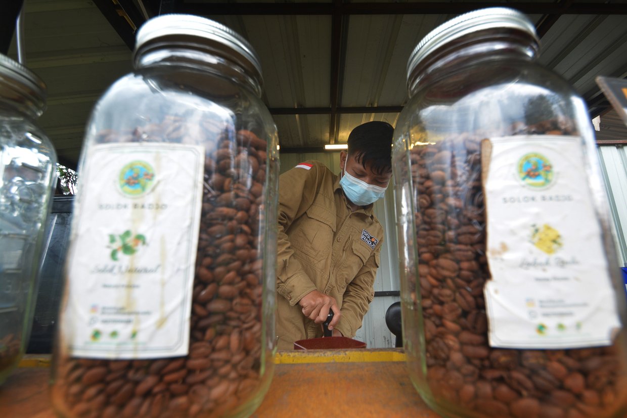 Seorang barista membuat kopi di Kafe Kopi Solok Radjo di Nagari Aia Dingin, Kecamatan Lembah Gumanti, Kabupaten Solok, Sumatera Barat.