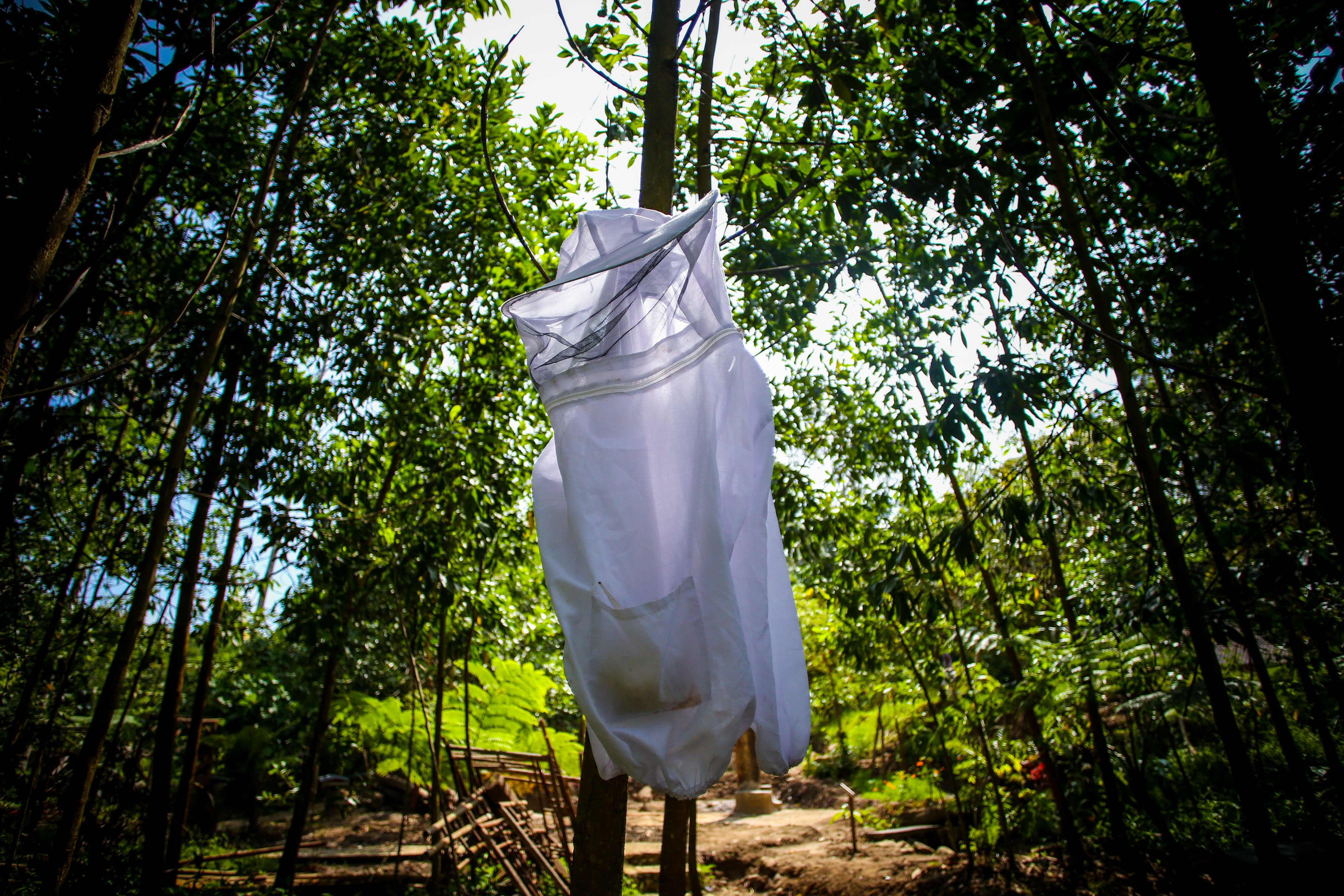 Pakaian yang digunakan pemburu madu digantung di Peternakan Lebah Madu Suhita, Teluk Betung, Kota Bandar Lampung, Lampung.