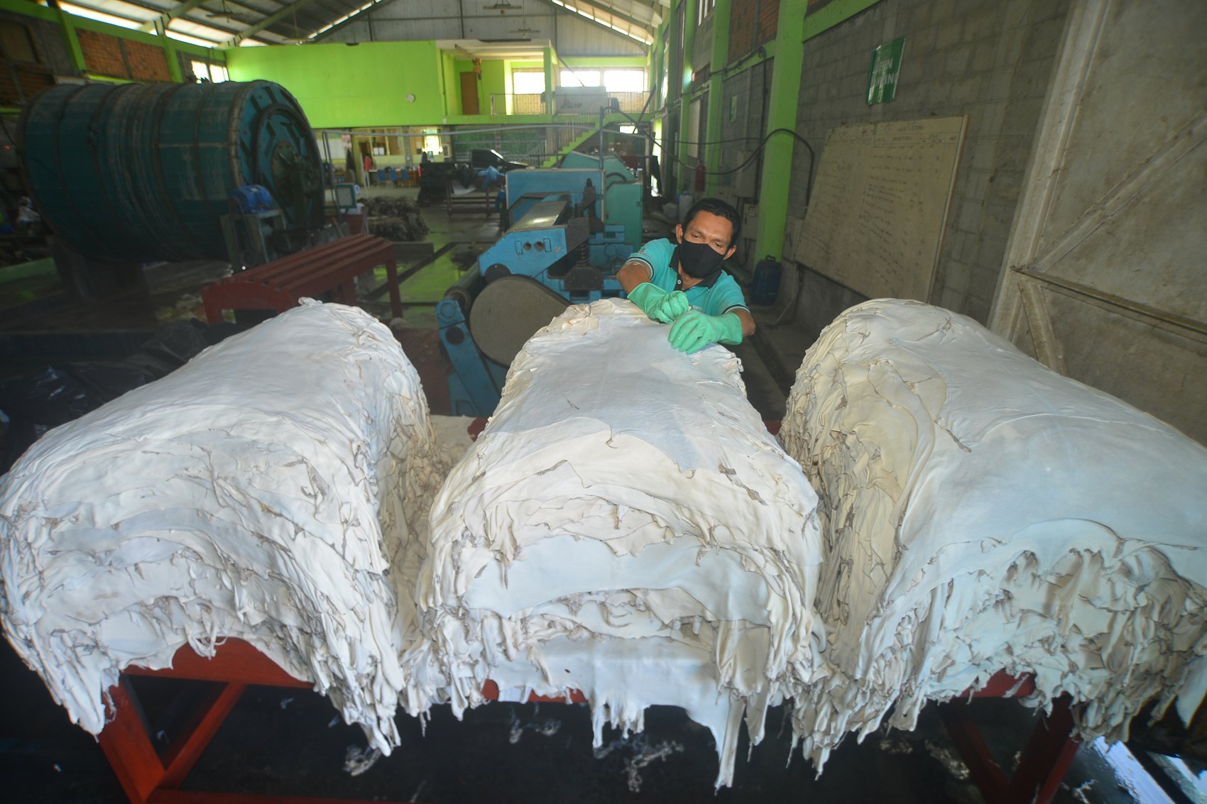 Pekerja menata kulit kambing yang sudah dibersihkan di Unit Pelayanan Teknis Daerah (UPTD) Pengolahan Kulit, Kota Padang, Sumatera Barat.