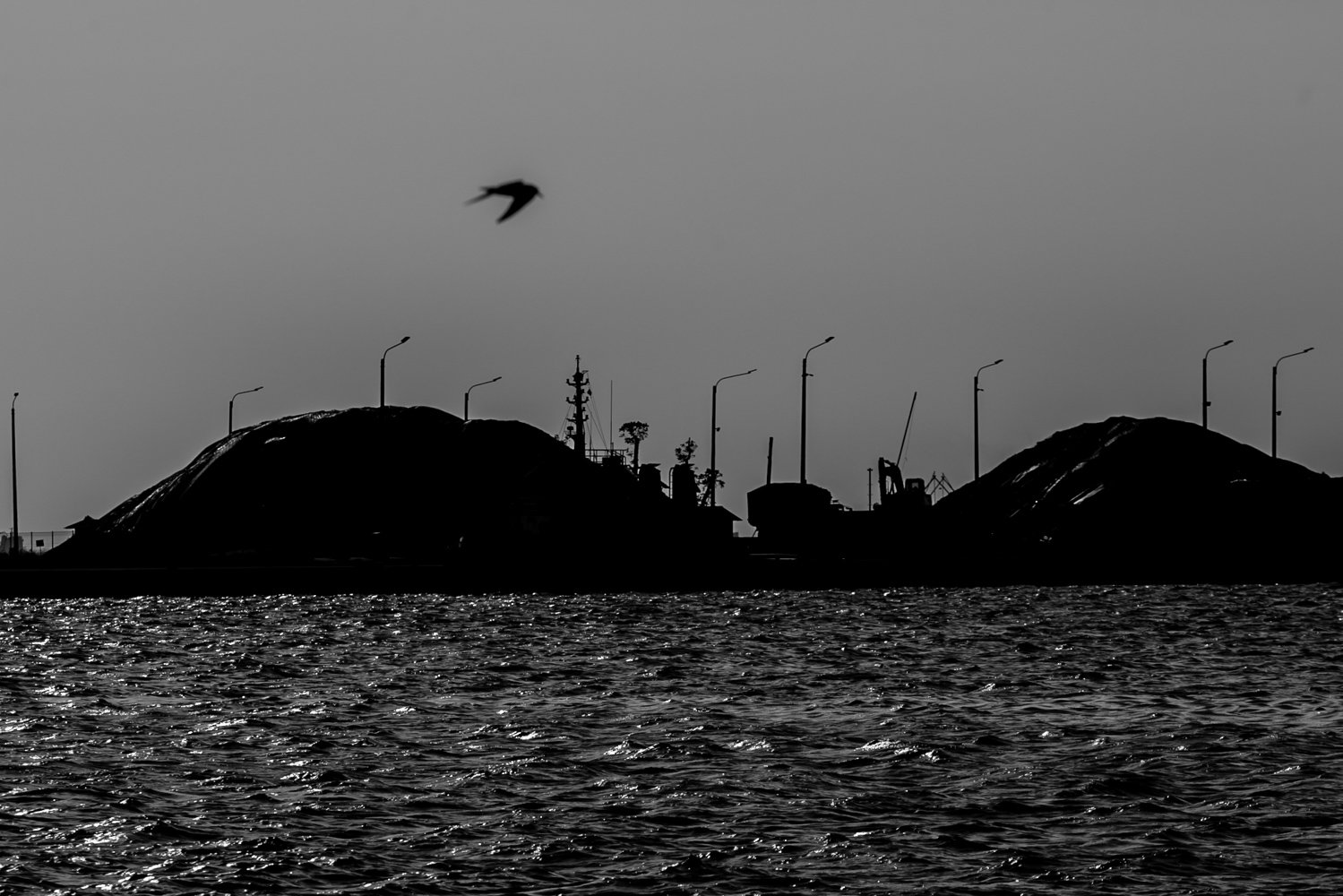 Seekor burung terbang dengan latar belakang aktivitas bongkar muat batubara oleh PT Karya Citra Nusantara (KCN) di Pelabuhan Marunda, Cilincing, Jakarta.