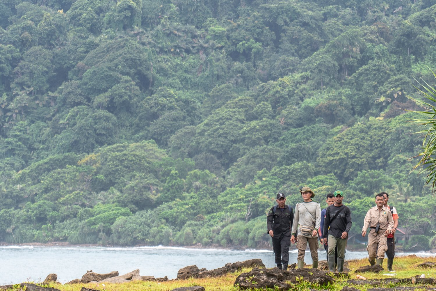 Tim Monitoring Badak Jawa (MBJ) berjalan menuju lokasi pemantauan di Padang Pengembalaan Cibunar, Taman Nasional Ujung Kulon, Banten.