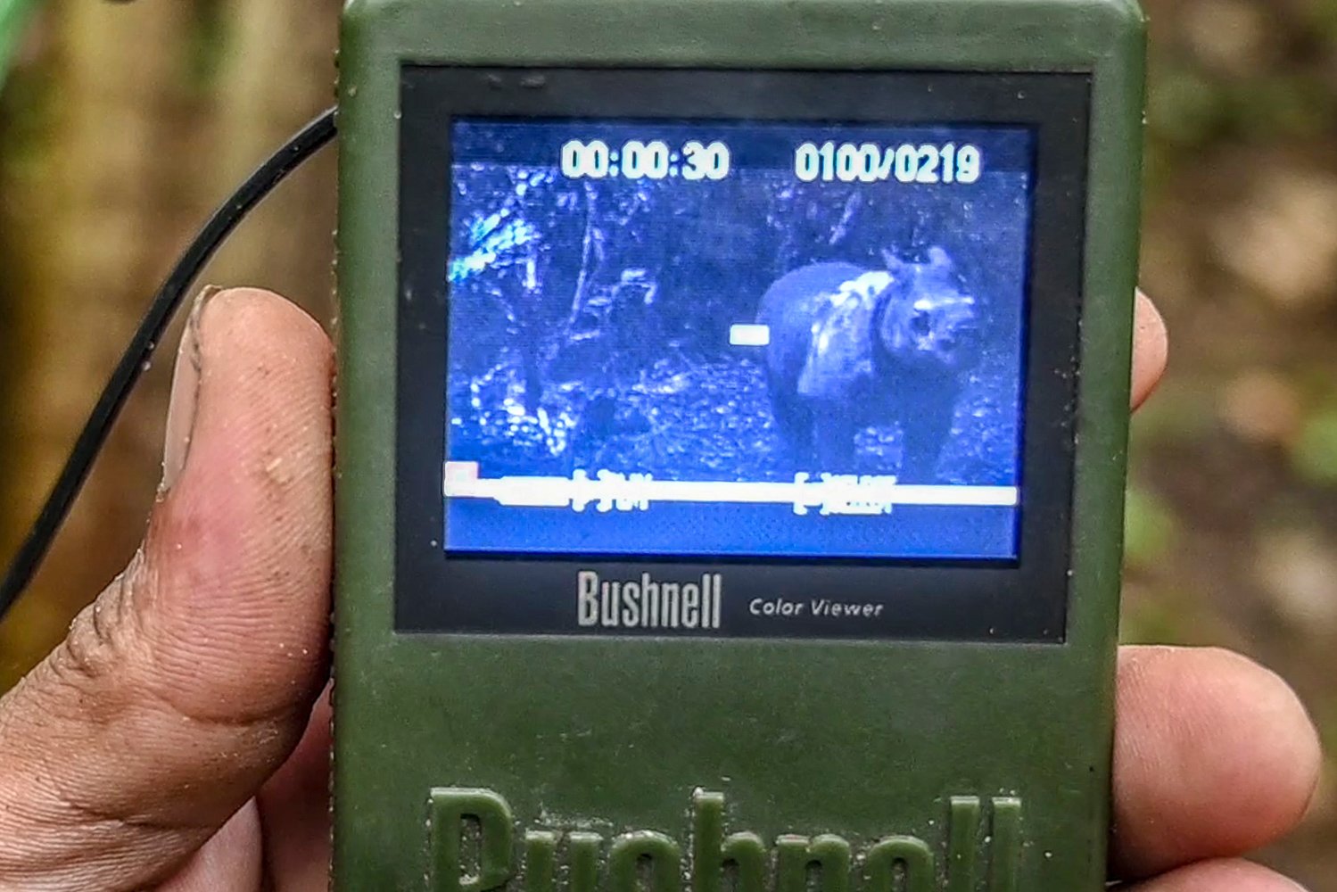 Anggota Monitoring Badak Jawa (MBJ) menunjukan satu individu badak jawa yang berhasil terekam kamera jebak di Taman Nasional Ujung Kulon, Banten.