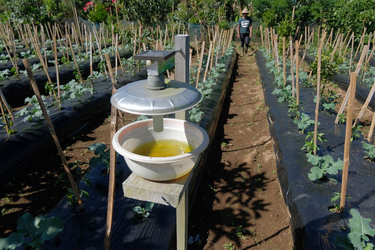 Lampu jebakan hama terpasang di kebun yang menerapkan metode pertanian cerdas.