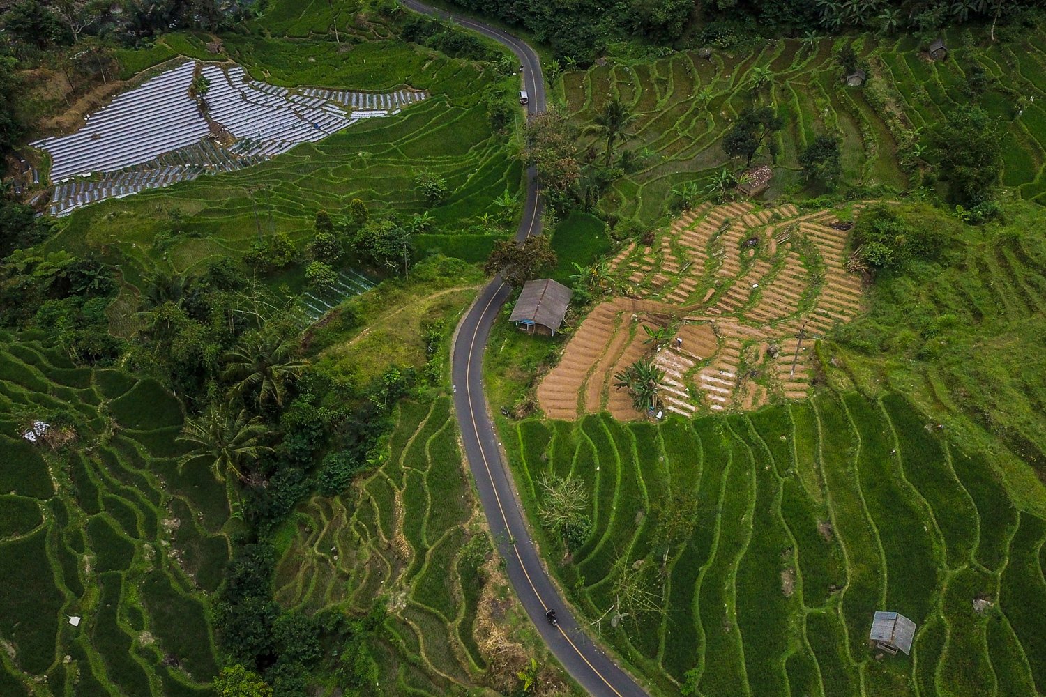 Foto udara susana persawahan di Jalan Raya Ciwidey-Naringgul, Kabupaten Cianjur.