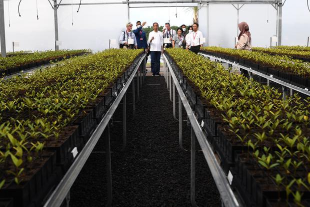 Presiden Joko Widodo (tengah) bersama sejumlah wartawan dalam negeri dan luar negeri mengunjungi tenda penyemaian pohon mangrove dalam rangkaian kegiatan KTT G20 di Taman Hutan Raya (Tahura) Ngurah Rai, Denpasar, Bali, Rabu (16/11/2022).