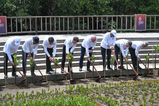 Sejumlah kepala negara G20 dan organisasi internasional menanam mangrove yaitu rangkaian kegiatan KTT G20 di Tahura Ngurah Rai, Denpasar, Bali, Rabu (16/11/2022).