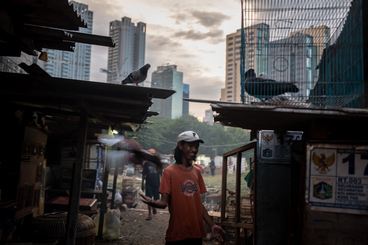 Warga memberi makan burung dara miliknya di wilayah Muria Dalam, Jakarta Selatan, Rabu (12/04).