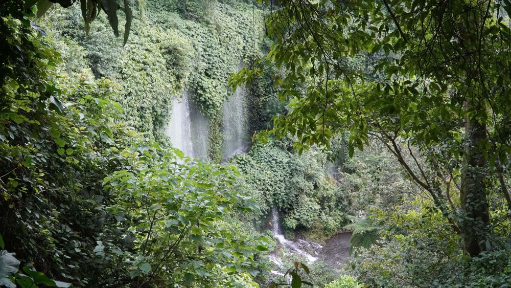 Kisah di Kaki Rinjani: Dari Pembalakan Menjadi Ekowisata Air Terjun