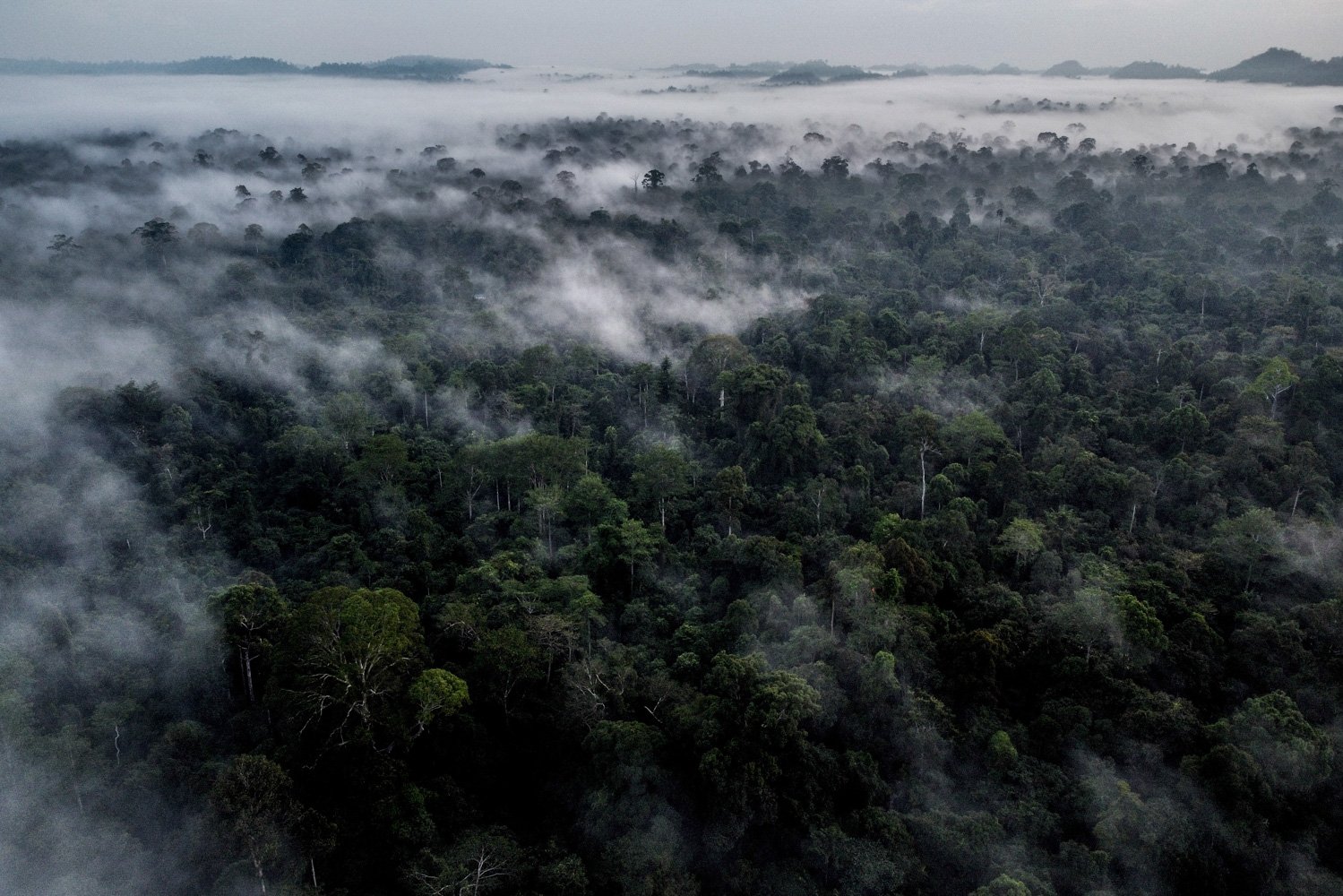 Foto aerial kawasan hutan Gunung Batu Benau, Desa Sajau Metun, Kabupeten Bulungan, Kalimantan Utara.