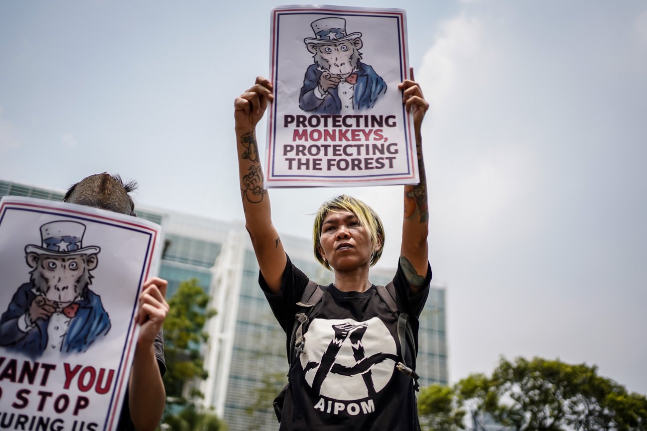 Koalisi Primates Fight Back melakukan unjuk rasa di depan Kedutaan Besar Amerikat Serikat, Jakarta, Rabu (13/9). Dalam aksi tersebut massa aksi menuntut Pemerintah Amerika Serikat menghentikan perdagangan monyet ekor panjang yang diimpor dari Indonesia.