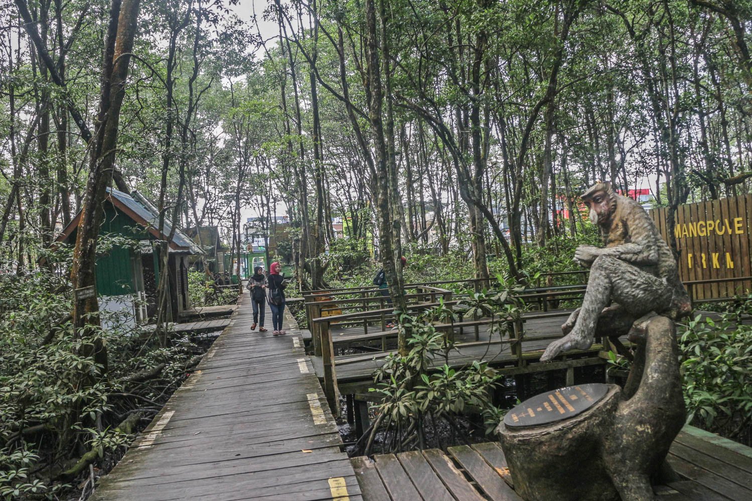 Wisatawan melintas di Kawasan Konservasi Mangrove dan Bekantan, Tarakan, Kalimantan Utara.