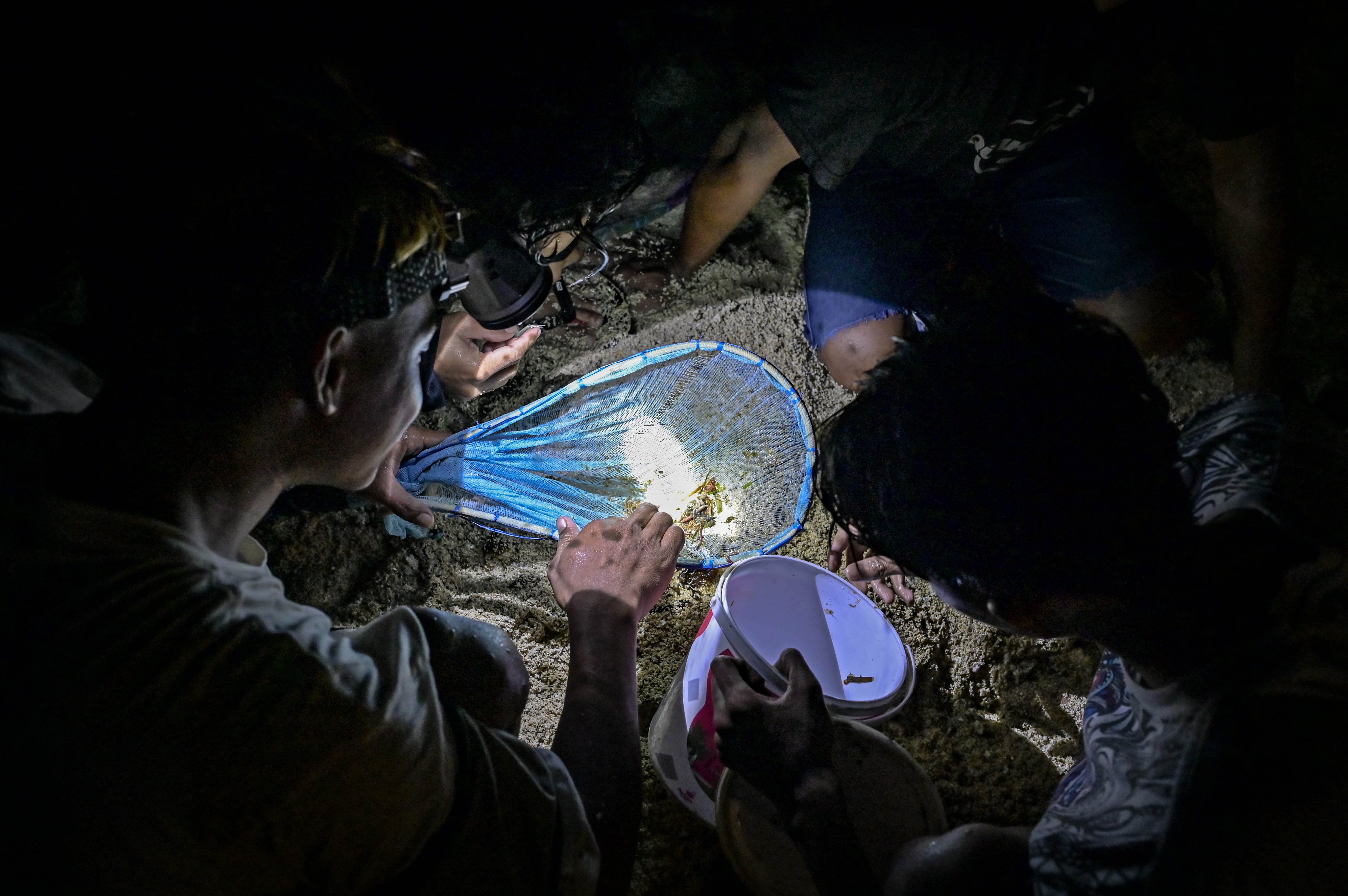 Sejumlah warga mengumpulkan nyale (cacing laut warna-warni) pada Festival Pesona Bau Nyale 2024 di Pantai Seger Kawasan Ekonomi Khusus (KEK) Mandalika, Kuta, Praya, Lombok Tengah, NTB.