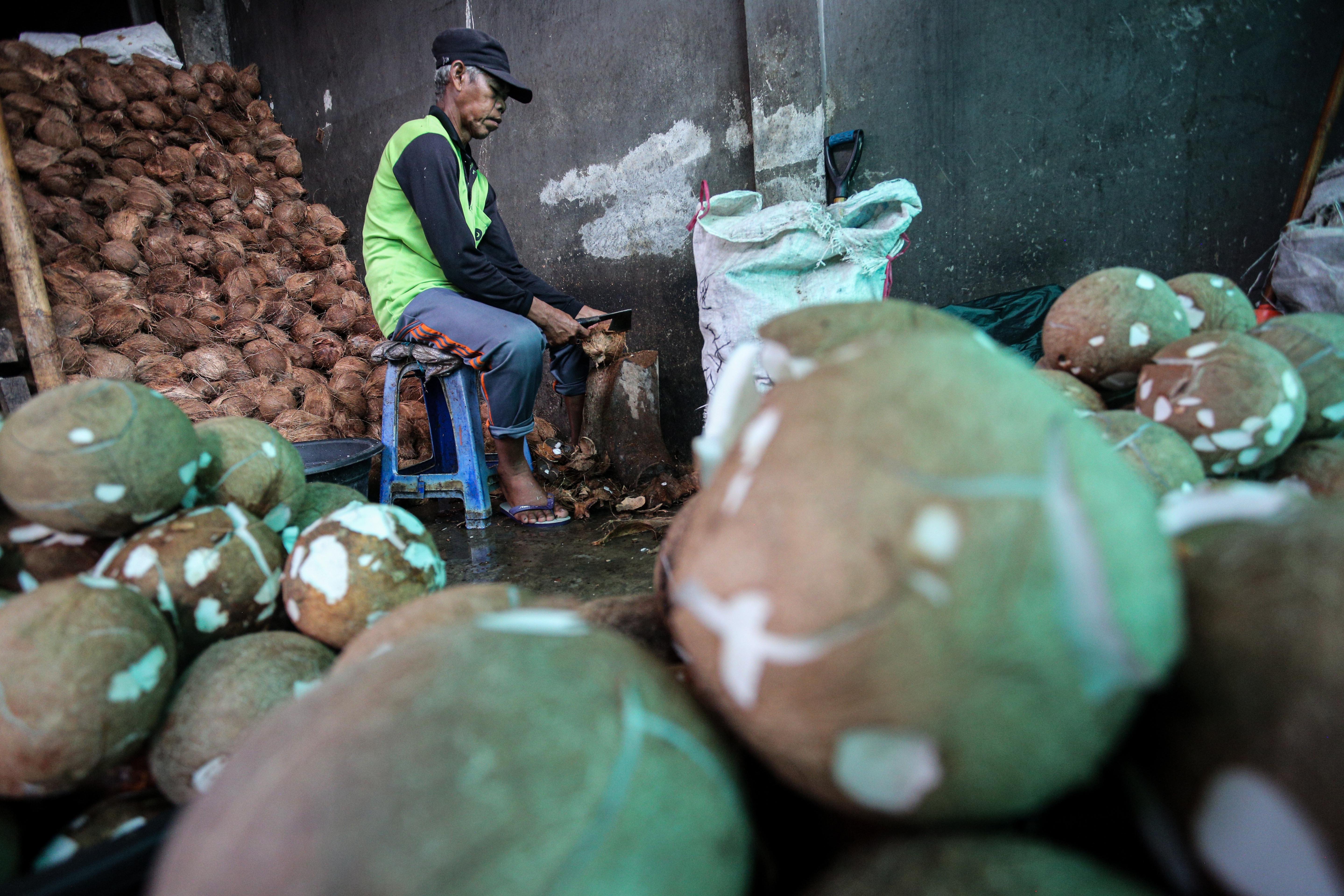 Seorang pekerja mengupas kulit kelapa untuk bahan baku pembuatan dodol di Pondok Dodol Sari Rasa Ibu Yuyun, Pejaten Timur, Pasar Minggu, Jakarta Timur, Rabu (27/3/2024). Dua pekan menjelang Hari Raya Idul Fitri 1445 H, produksi dodol betawi di Pondok Dodol Sari Rasa Ibu Yuyun ini mengalami kenaikan dengan memproduksi 16 keceng (kuali) perharinya.