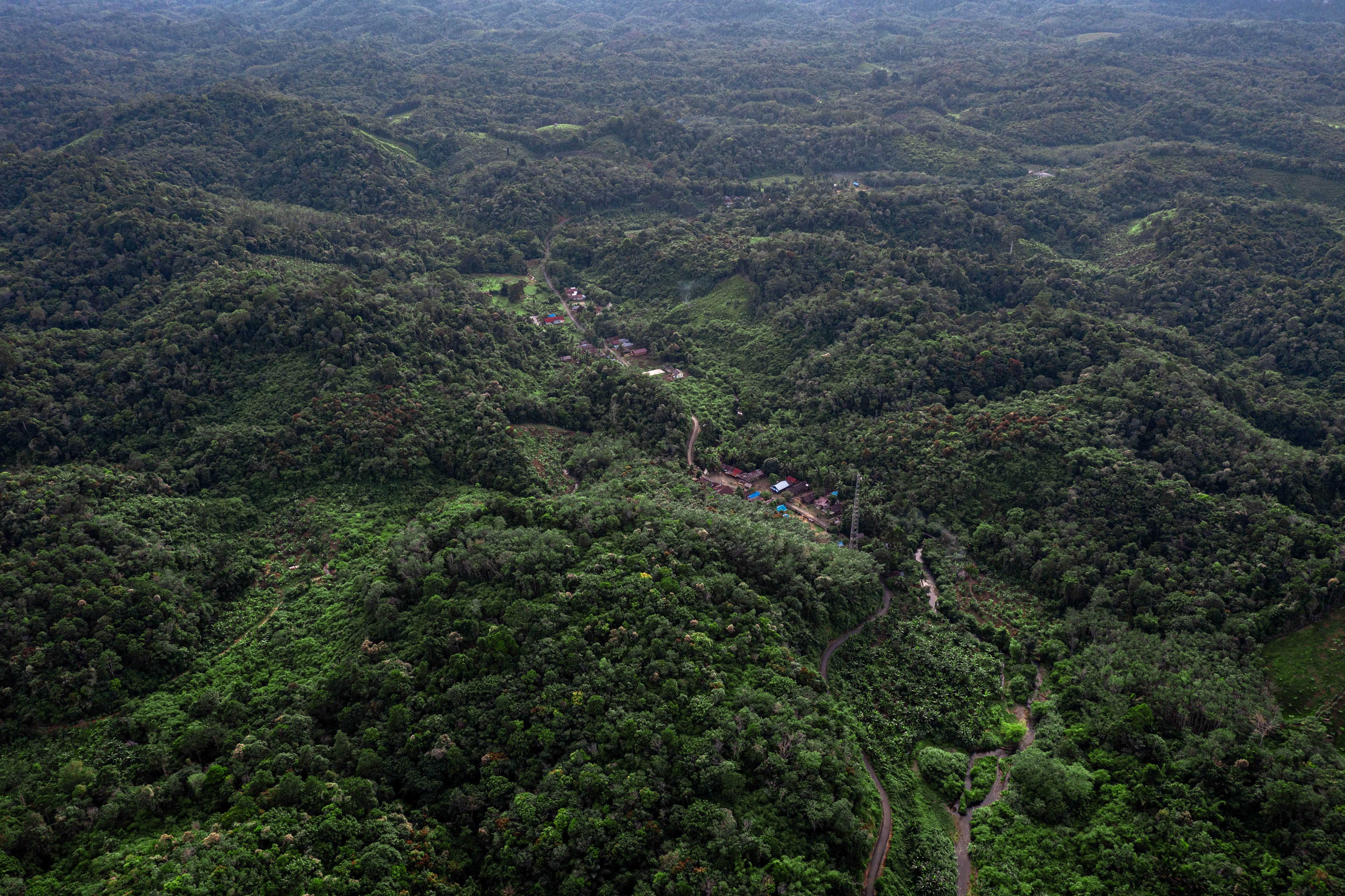 Foto udara lanskap permukiman suku Dayak Pitap yang dikelilingi perkebunan, ladang, serta hutan adat di kawasan pegunungan Meratus.