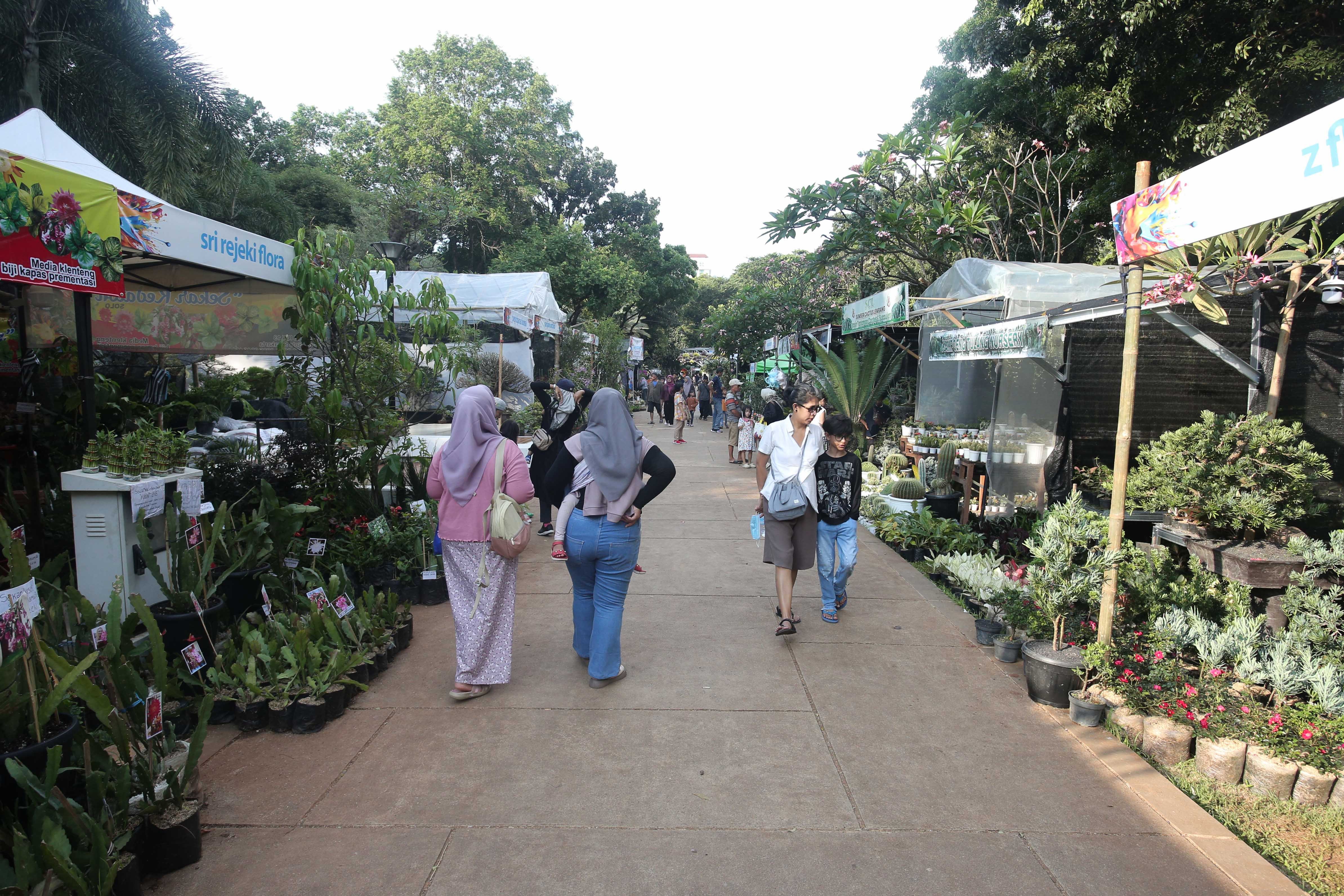 Pengunjung melihat tanaman hias yang dijual saat pameran Flona di Lapangan Banteng, Jakarta, senin (8/7/2024). Pameran yang mengusung tema Jakarta Global Hijau Mempesona ini menampilkan berbagai jenis tanaman hias, hewan peliharaan dan kuliner nusantara yang berlangsung hingga 2 Agustus 2024.