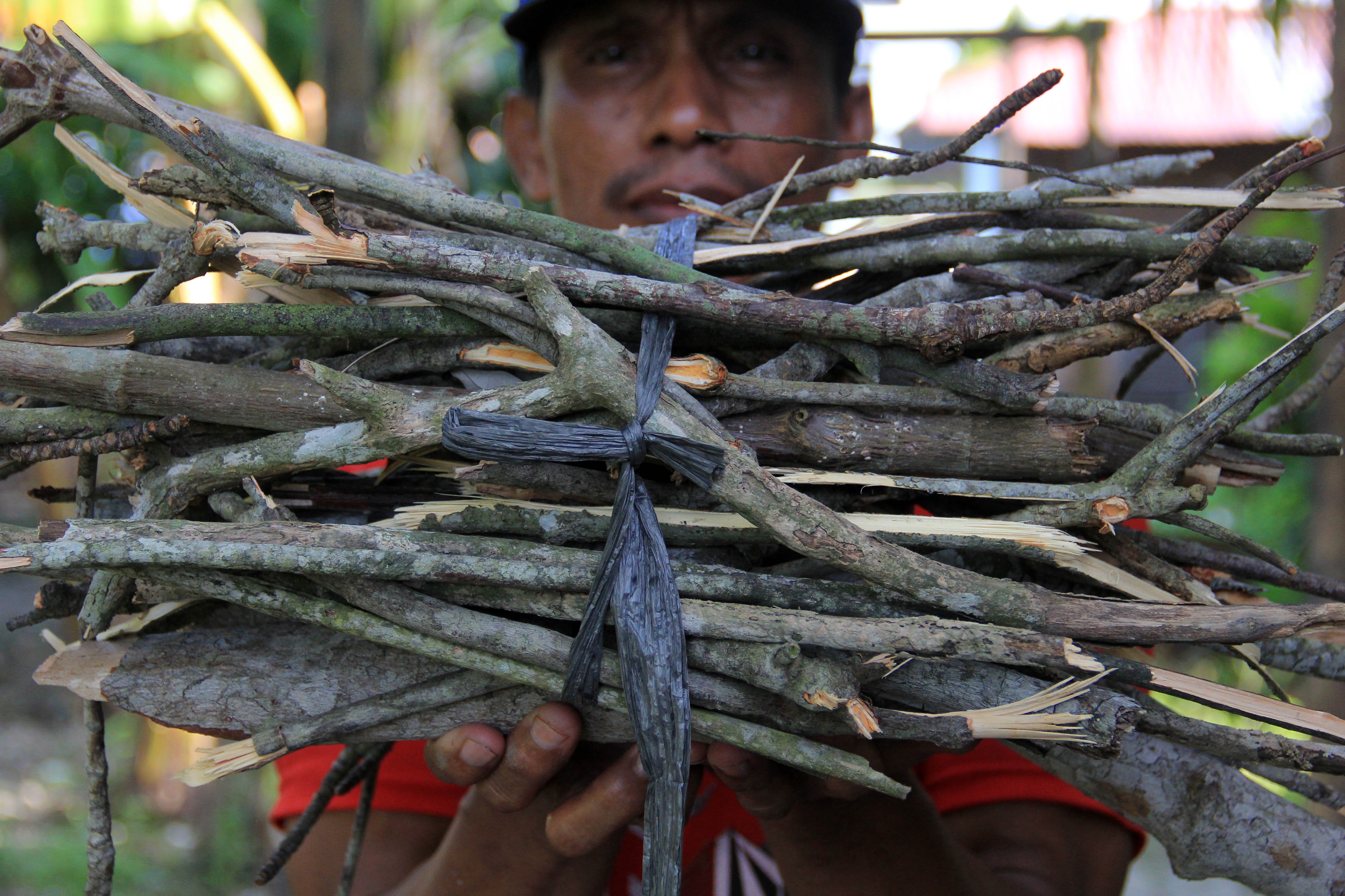 Perajin menunjukan limbah ranting mangrove.