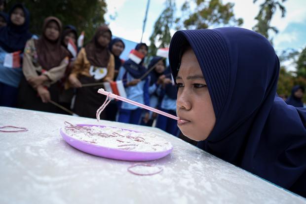 Pelajar mengikuti lomba memindahkan karet menggunakan sedotan di SMPN 2 Penajam Paser Utara, Kalimantan Timur, Rabu (14/8/2024). Lomba tersebut dalam rangka memeriahkan HUT ke-79 Republik Indonesia.