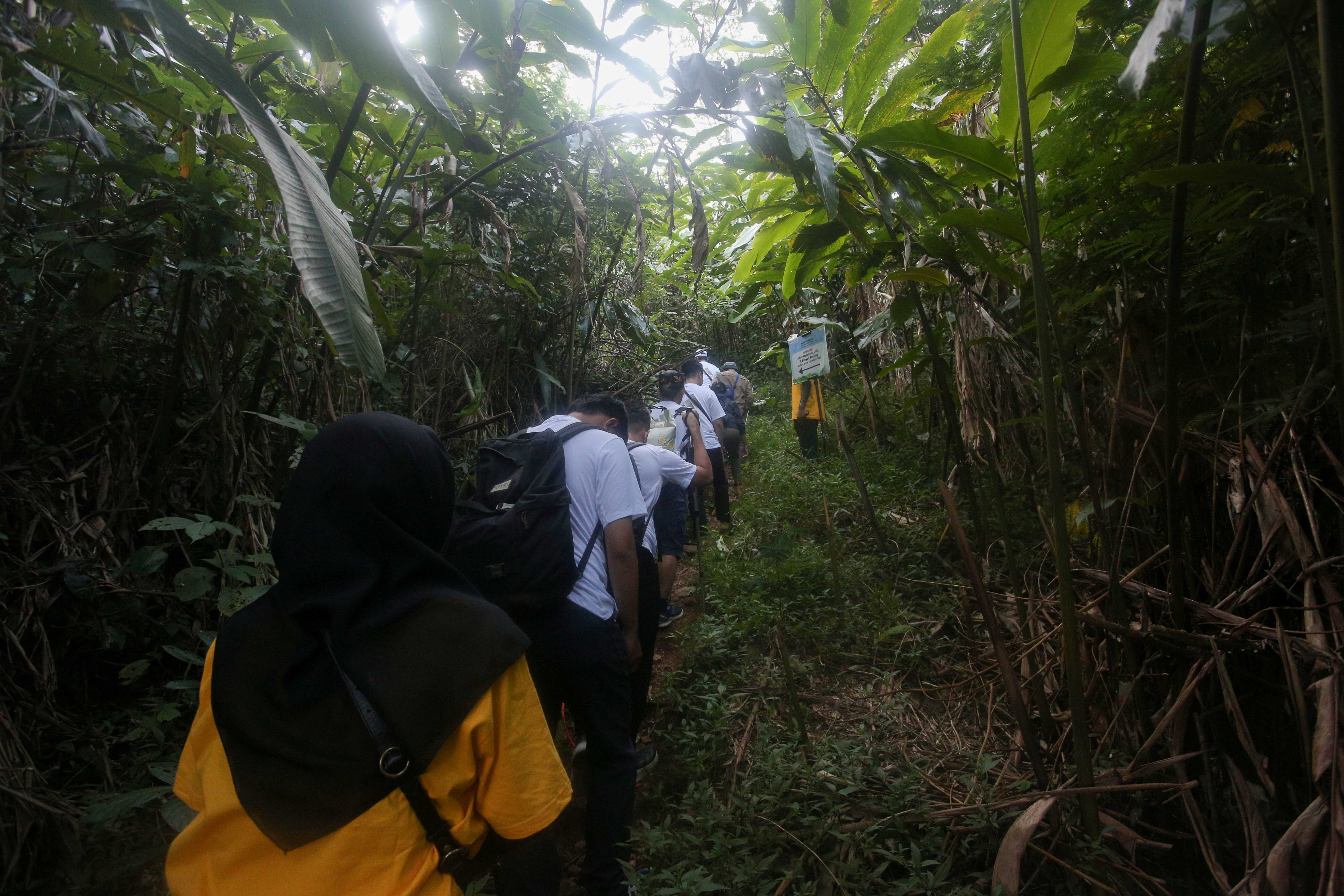 Sejumlah peserta media outbound Pertamina Hulu Energi berjalan menuju lokasi konservasi Owa Jawa di kawasan Hutan Lindung Malabar, Gunung Puntang, Bandung Selatan, Jumat (30/8/2024). Pertamina Hulu Energi melalui Pertamina EP Subang Field Regional Jawa mengusung program pelestarian keanekaragaman hayati yang bekerja sama dengan Yayasan Owa Jawa dalam upaya melestarikan Owa Jawa dengan melakukan pemantauan terhadap primata langka ini di Gunung Puntang.