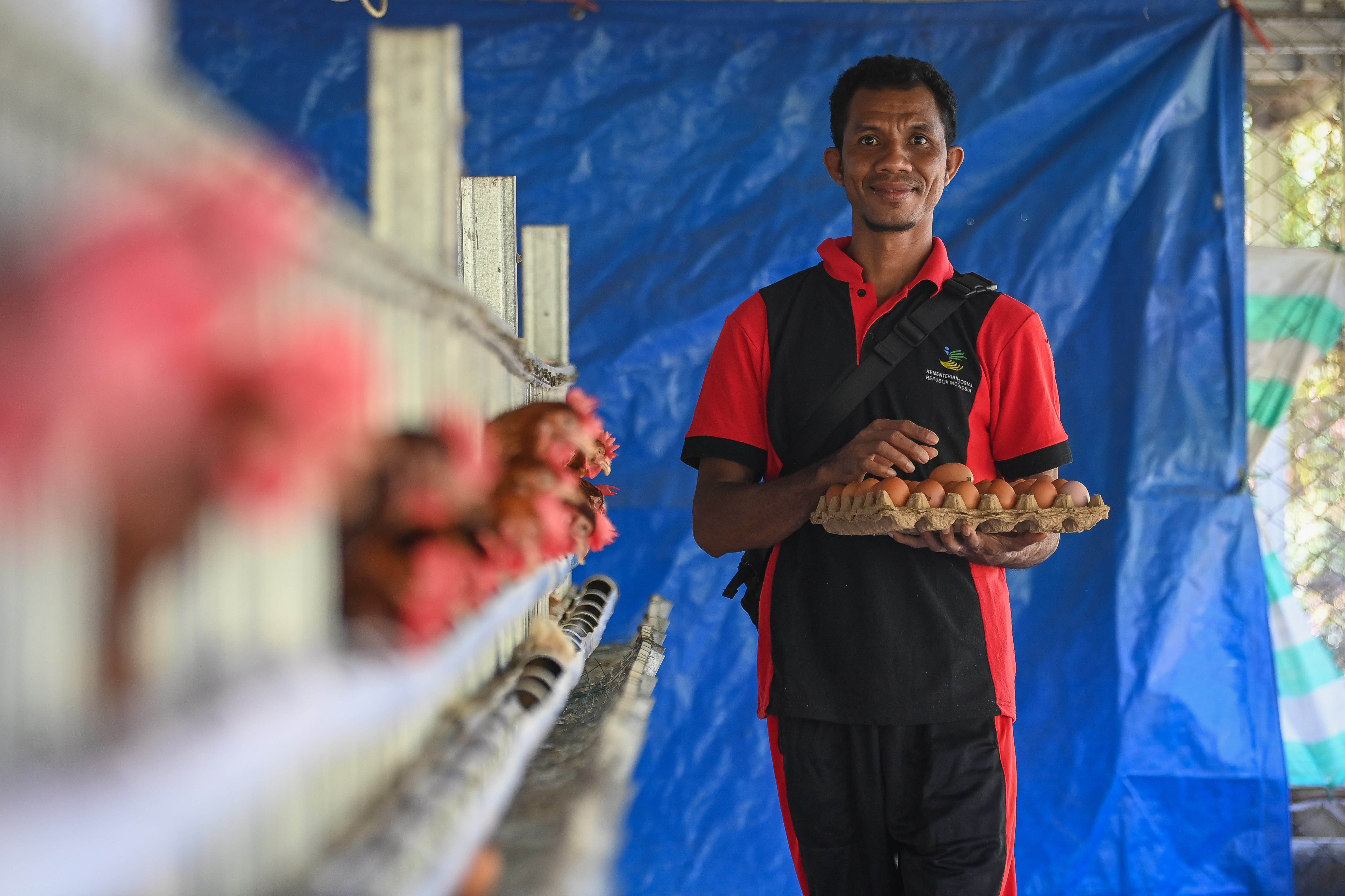 Eks PMI bermasalah di Malaysia, Yohanis Nismeto membawa telur saat mengikuti pelatihan beternak ayam di Sentra Efata UPT Kemensos, Naibonat, Kabupaten Kupang.