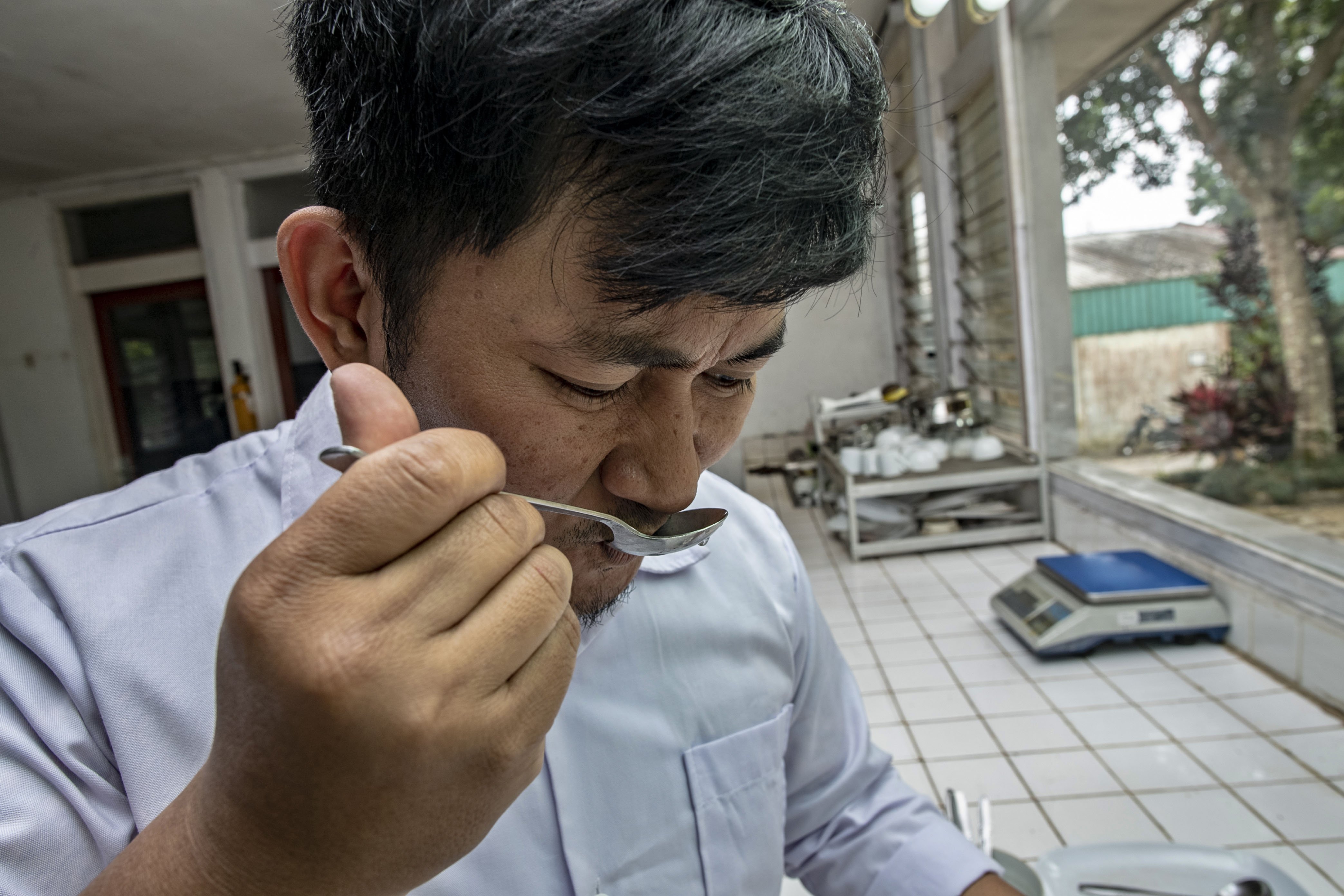 Peneliti mencicipi teh putih saat diuji di laboratorium milik Perkebunan Teh Pusat Penelitian Teh dan Kina (PPTK) Gambung, Bandung, Jawa Barat.