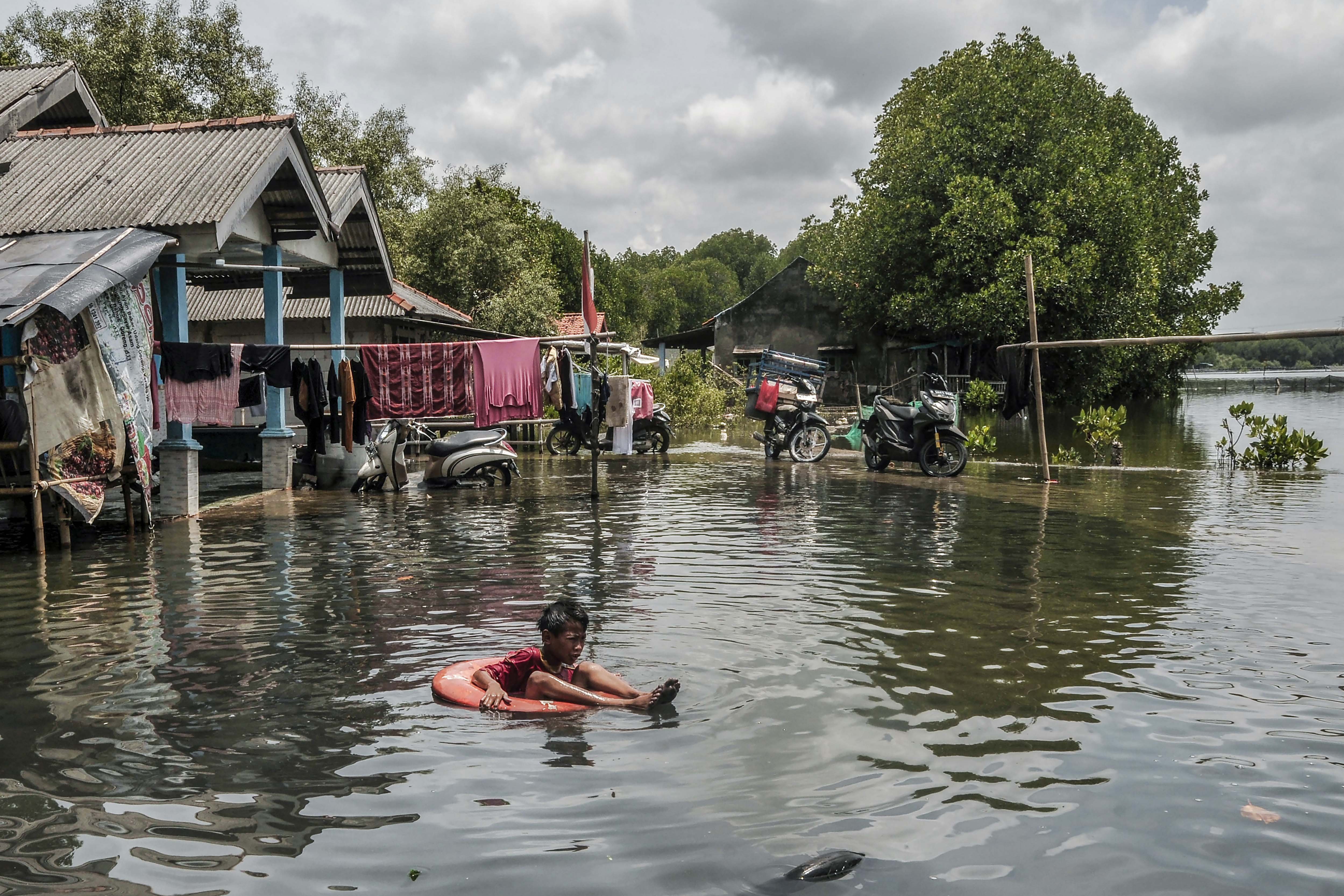 Seorang anak berenang menggunakan pelampung saat banjir rob di Kampung Sembilangan, Tarumajaya, Kabupaten Bekasi, Jawa Barat, Senin (18/11/2024). Banjir rob akibat pasang air laut telah menggenangi wilayah tersebut selama empat hari dengan ketinggian 30-50 cm. 