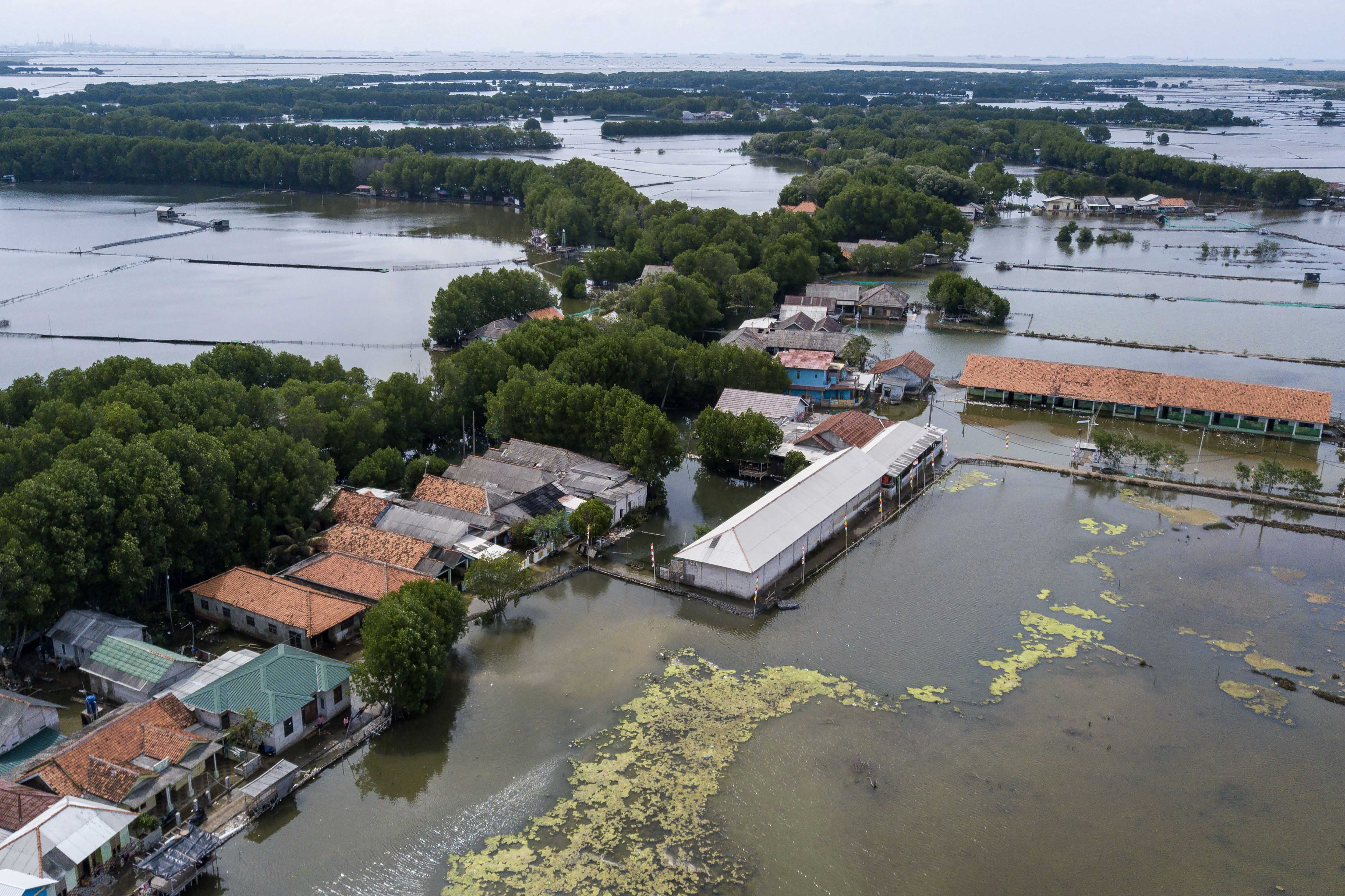 Foto udara pemukiman dan Madrasah Ibtidaiyah (MI) Al-Hidayah Al Khairiyah terdampak banjir rob di Kampung Sembilangan, Tarumajaya, Kabupaten Bekasi, Jawa Barat, Senin (18/11/2024). Banjir rob akibat pasang air laut telah menggenangi wilayah tersebut selama empat hari dengan ketinggian 30-50 cm. 