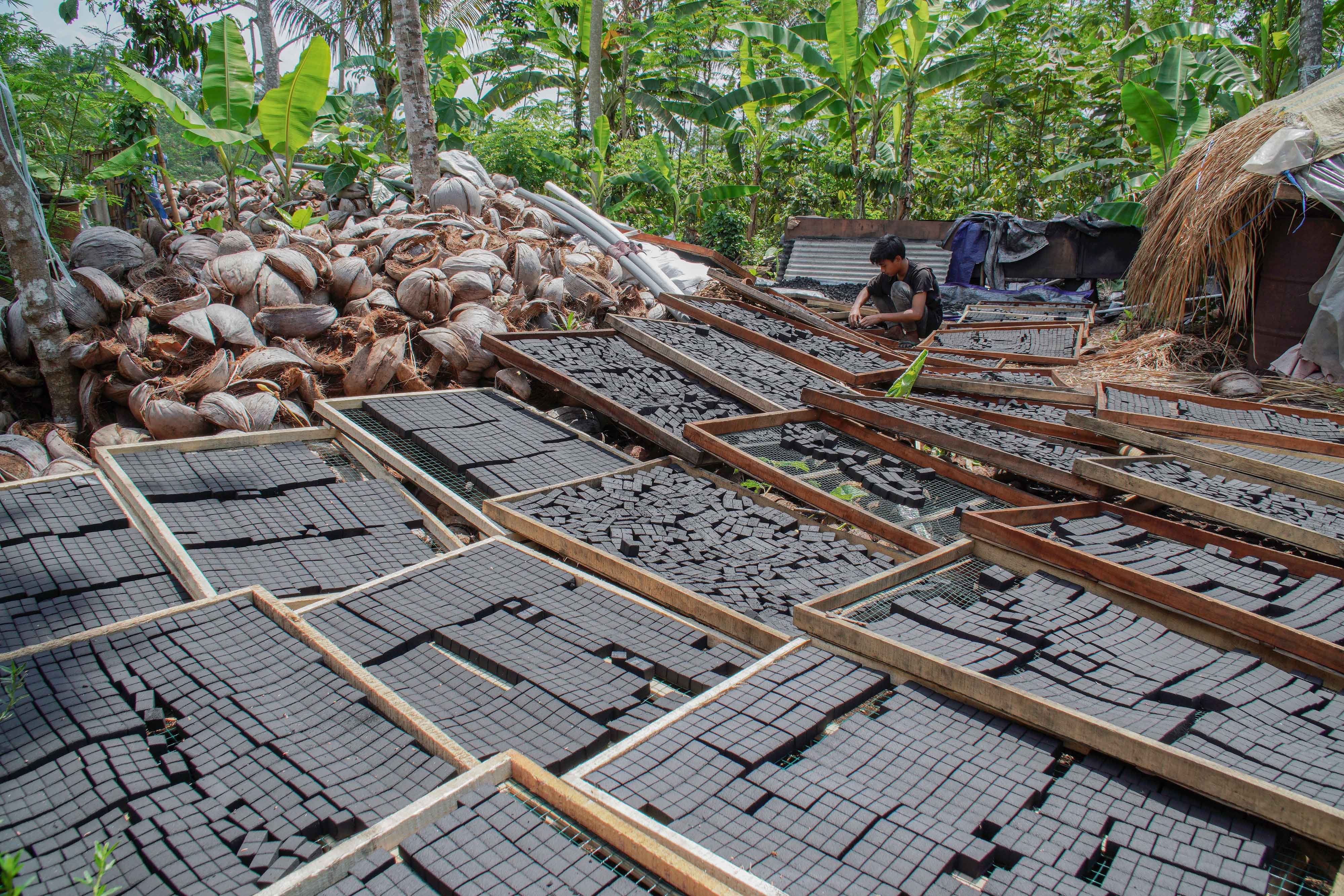 Pekerja menjemur arang briket berbahan dasar limbah batok kelapa yang diproduksi di Desa Gucialit, Lumajang, Jawa Timur.