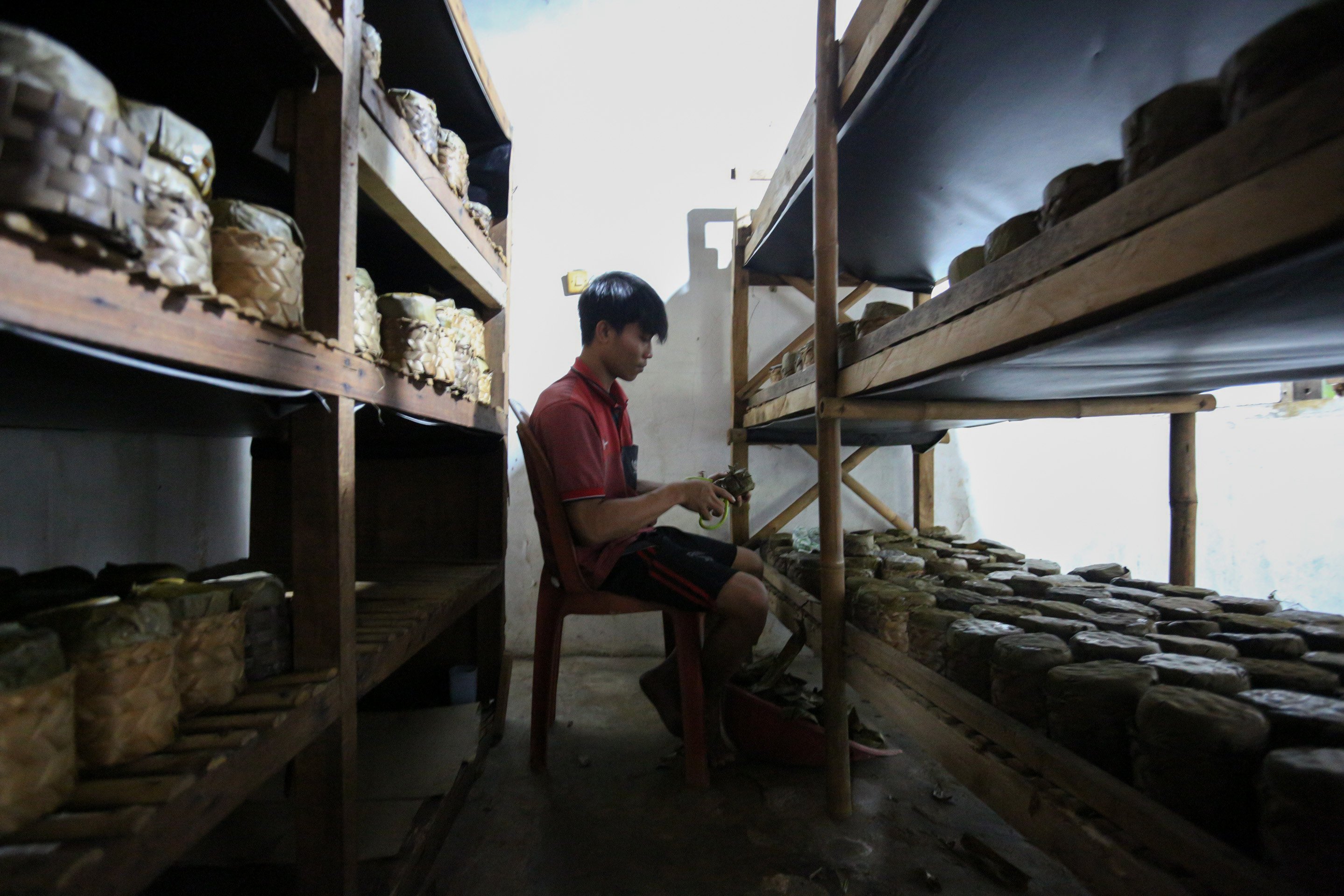 Pekerja merapikan kemasan kue keranjang yang telah matang di rumah produksi Kue Keranjang Mama Ok Nyoh, Ciater, Kota Tangerang Selatan, Banten, Senin (20/1/2025). Menjelang Tahun Baru Imlek 2576 yang jauh pada 29 Januari 2025, produksi kue keranjang di tempat ini meningkat hingga dua kali lipat dengan total pesanan mencapai 500 kemasan per hari.