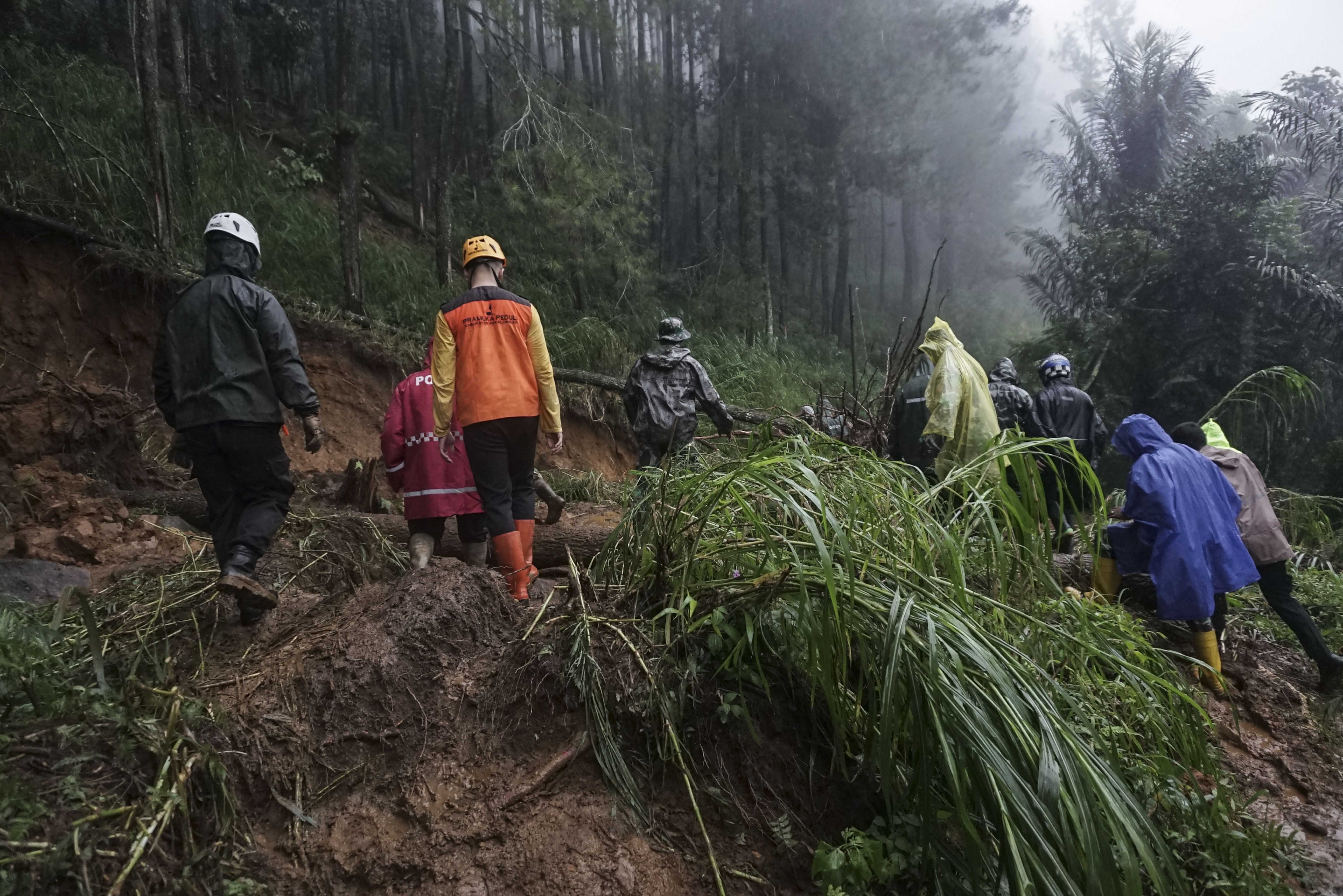 Petugas gabungan berjalan melewati longsoran tanah menuju lokasi utama longsor di Kecamatan Petungkriyono, Kabupaten Pekalongan, Jawa Tengah, Selasa (21/1/2025). Berdasarkan data posko relawan setempat, terdapat puluhan titik longsor dengan titik utama berada di Desa Kasimpar, Kecamatan Petungkriyono yang menyebabkan 17 orang meninggal dunia, 11 orang luka berat, dan 12 orang dilaporkan hilang.