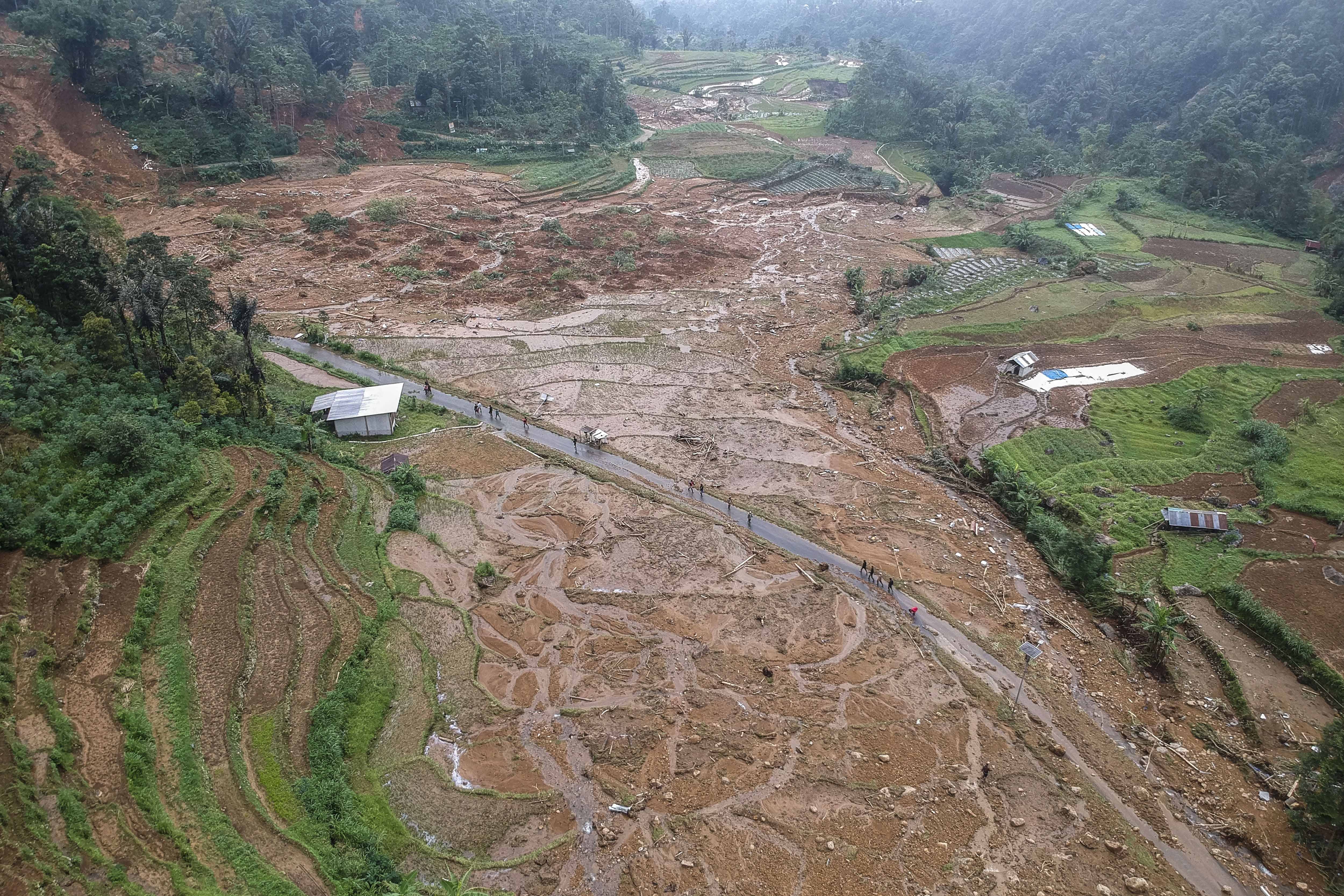 Foto udara relawan menyisir korban terdampak longsor di Desa Kasimpar di Kecamatan Petungkriyono, Kabupaten Pekalongan, Jawa Tengah, Rabu (22/1/2025). Badan Nasional Penanggulangan Bencana (BNPB) mengungkapkan bencana longsor di Kabupaten Pekalongan berdampak terhadap kerugian materil diantaranya sebanyak dua unit rumah rusak berat, dua jembatan rusak, tiga unit kendaraan roda empat rusak berat, satu unit cafe terdampak dan tiga akses jalan tertutup material longsor.