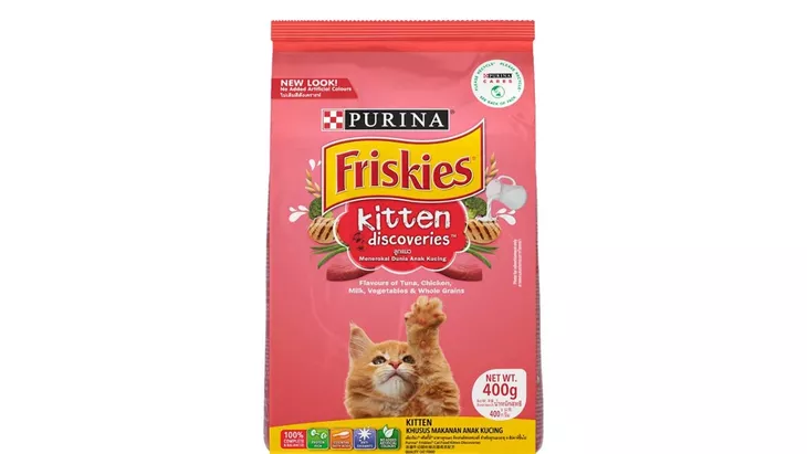Rekomendasi Makanan Anak Kucing Terbaik
