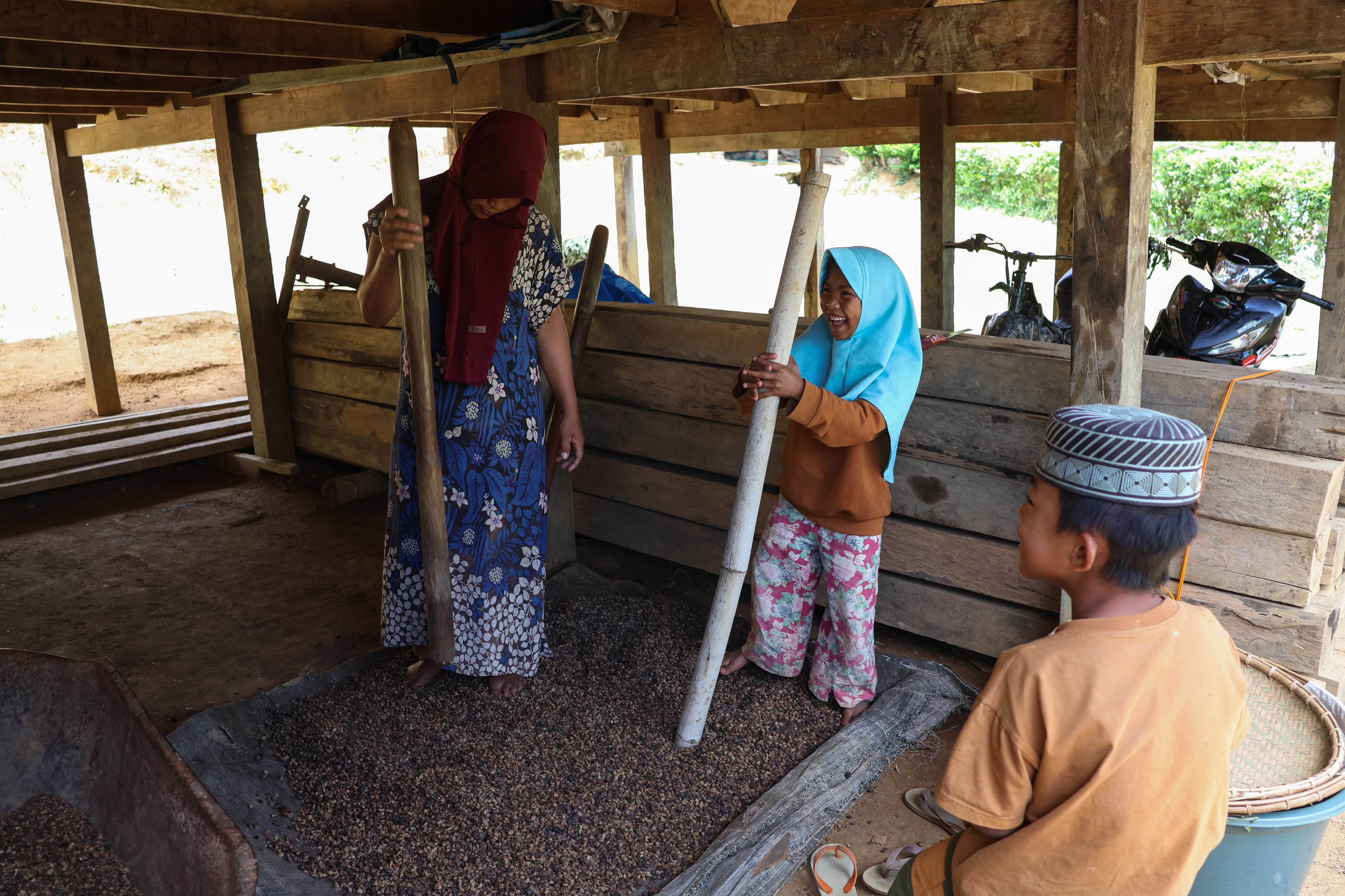 Warga menumbuk buah kopi untuk melepaskan kulitnya di Kecamatan Seko, Kabupaten Luwu Utara, Sulawesi Selatan. 