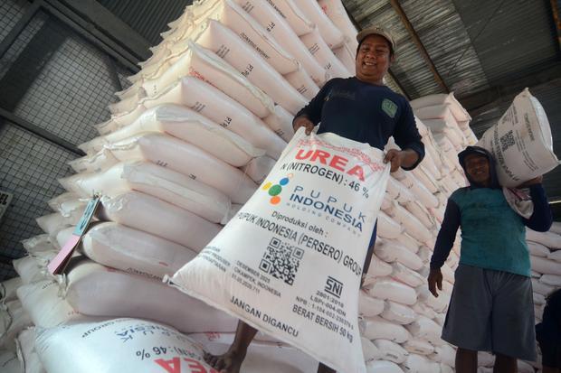 Serapan pupuk bersubsidi di Tegal