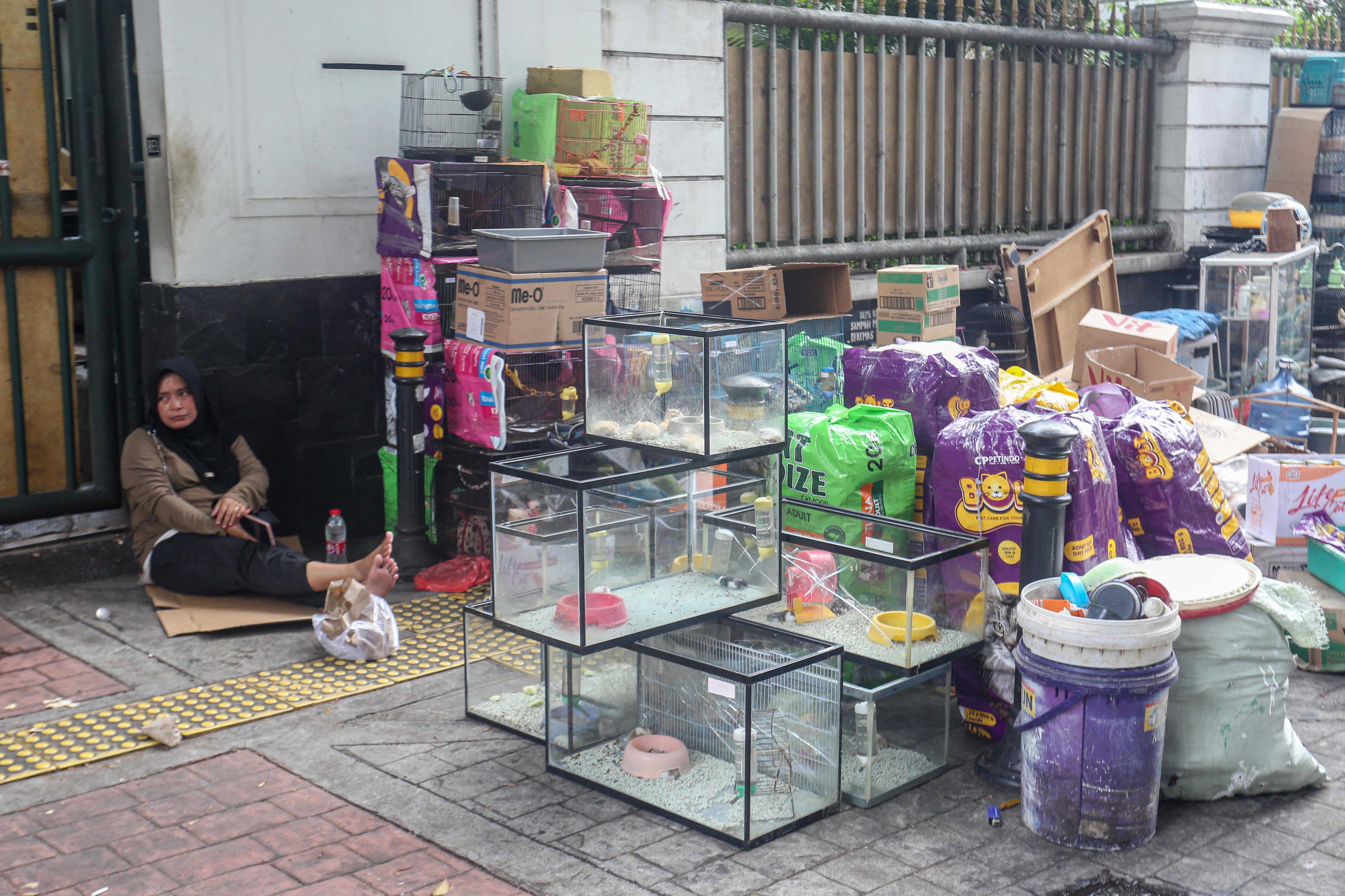 Pedagang berada di dekat barang dagangannya saat pembongkaran kios di Pasar Barito, Jakarta, Senin (27/10/2025). Pemerintah Kota Jakarta Selatan merelokasi pedagang Pasar Barito ke Sentra Fauna dan Kuliner Lenteng Agung untuk membangun Taman Bendera Pusaka.