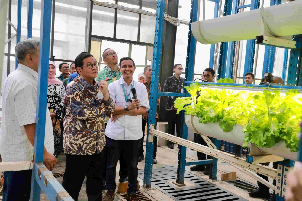 Gubernur DKI Jakarta Pramono Anung mengunjungi kebun vertikal milik Ladang Farm, (18/9).