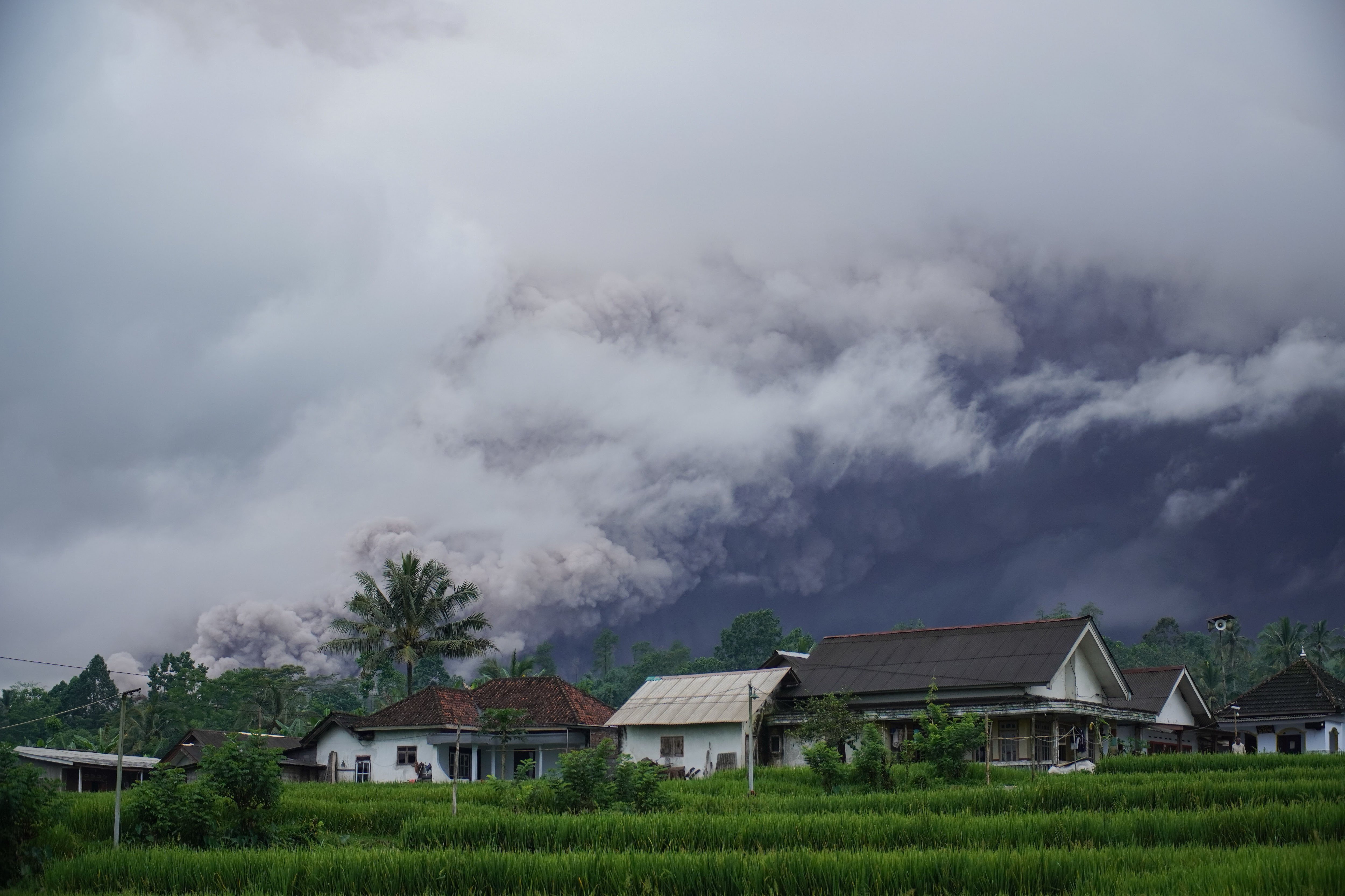 Luncuran awan panas Gunung Semeru di Desa Sumberwuluh, Candipuro, Lumajang, Jawa Timur, Rabu (19/11/2025). Berdasarkan data PVMBG, Gunung Semeru mengalami erupsi dengan kolom abu setinggi 2.000 meter di atas puncak atau mencapai total ketinggian sekitar 5.676 mdpl dengan amplitudo gempa letusan mencapai 40 mm.